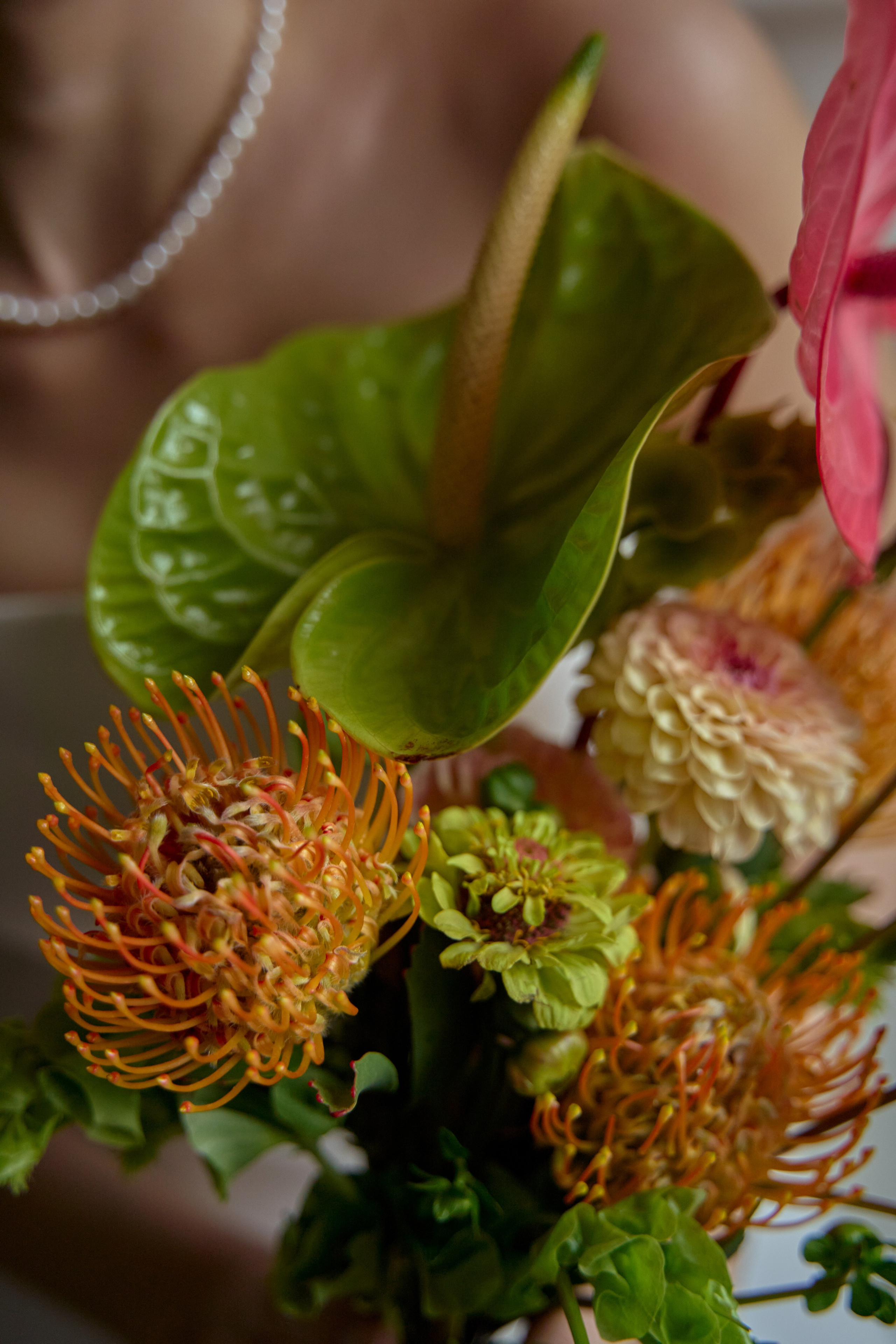 Михаил и Софья. Главная