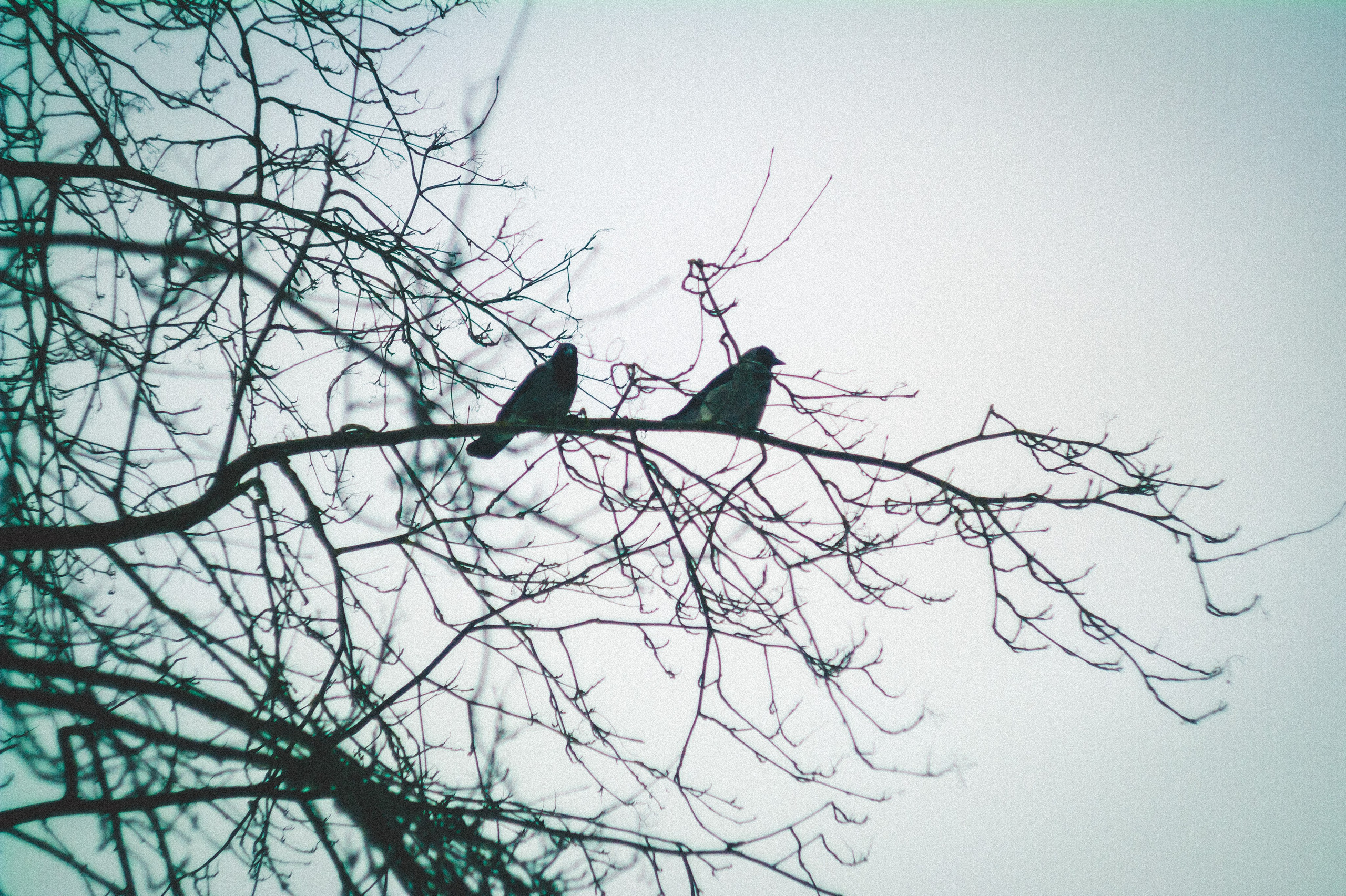 Poetic. Den Mirov — Photographer, Musician