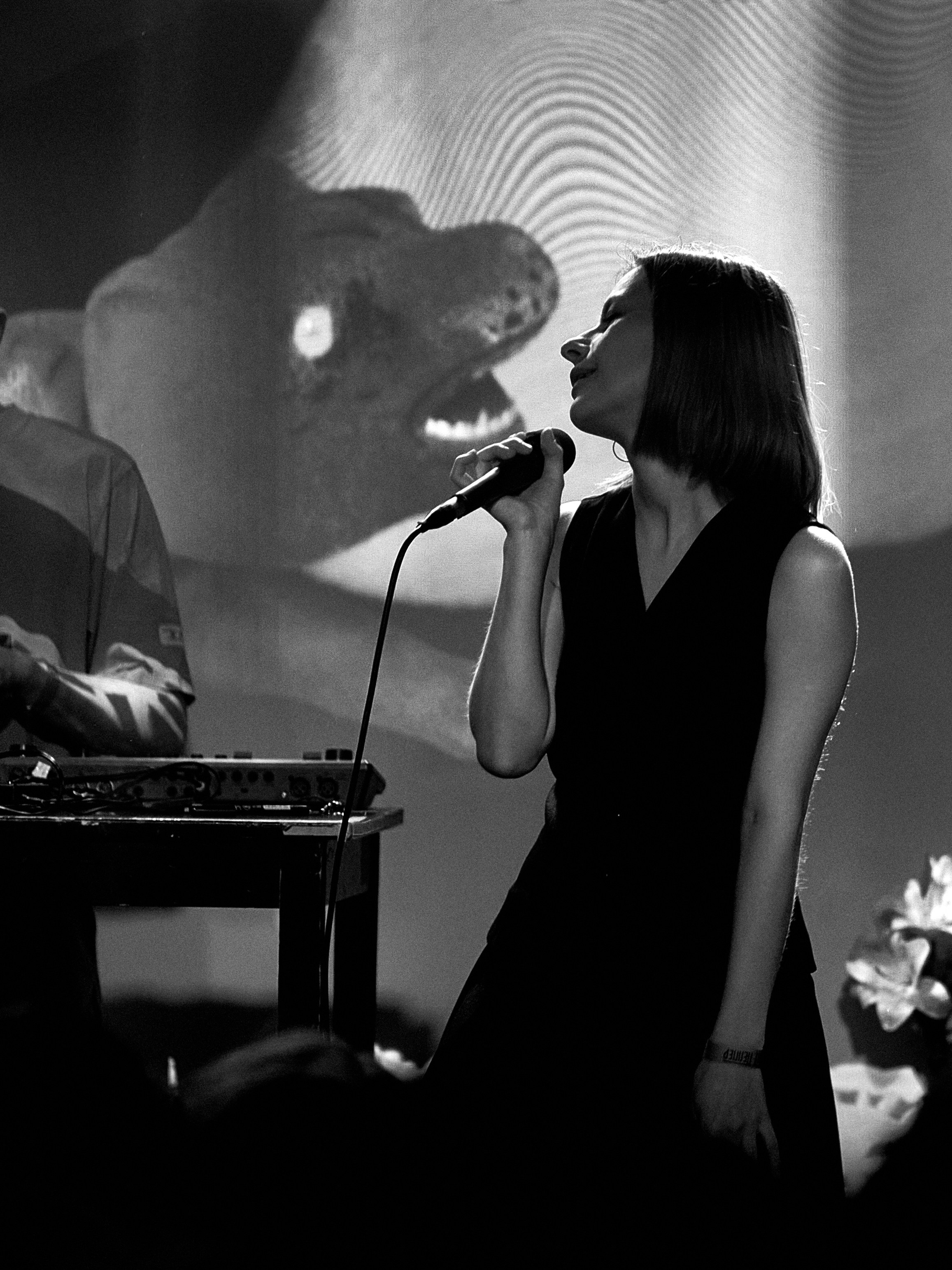 Порез на собаке. Фотограф Юлия Маринина