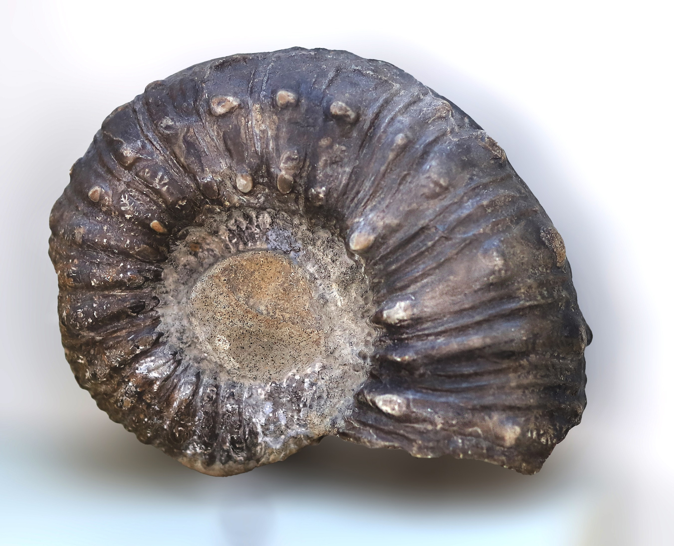 Каменная летопись. Фотограф Юлия Маринина