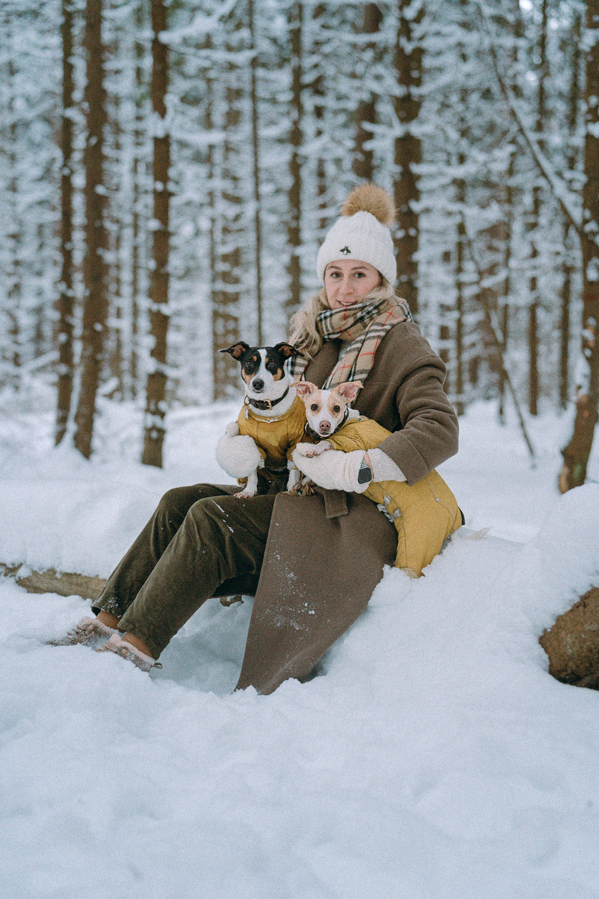 Алина, Ваниль и Элис. Фотограф анималист в Москве и Санкт-Петербурге Свиридова Анна