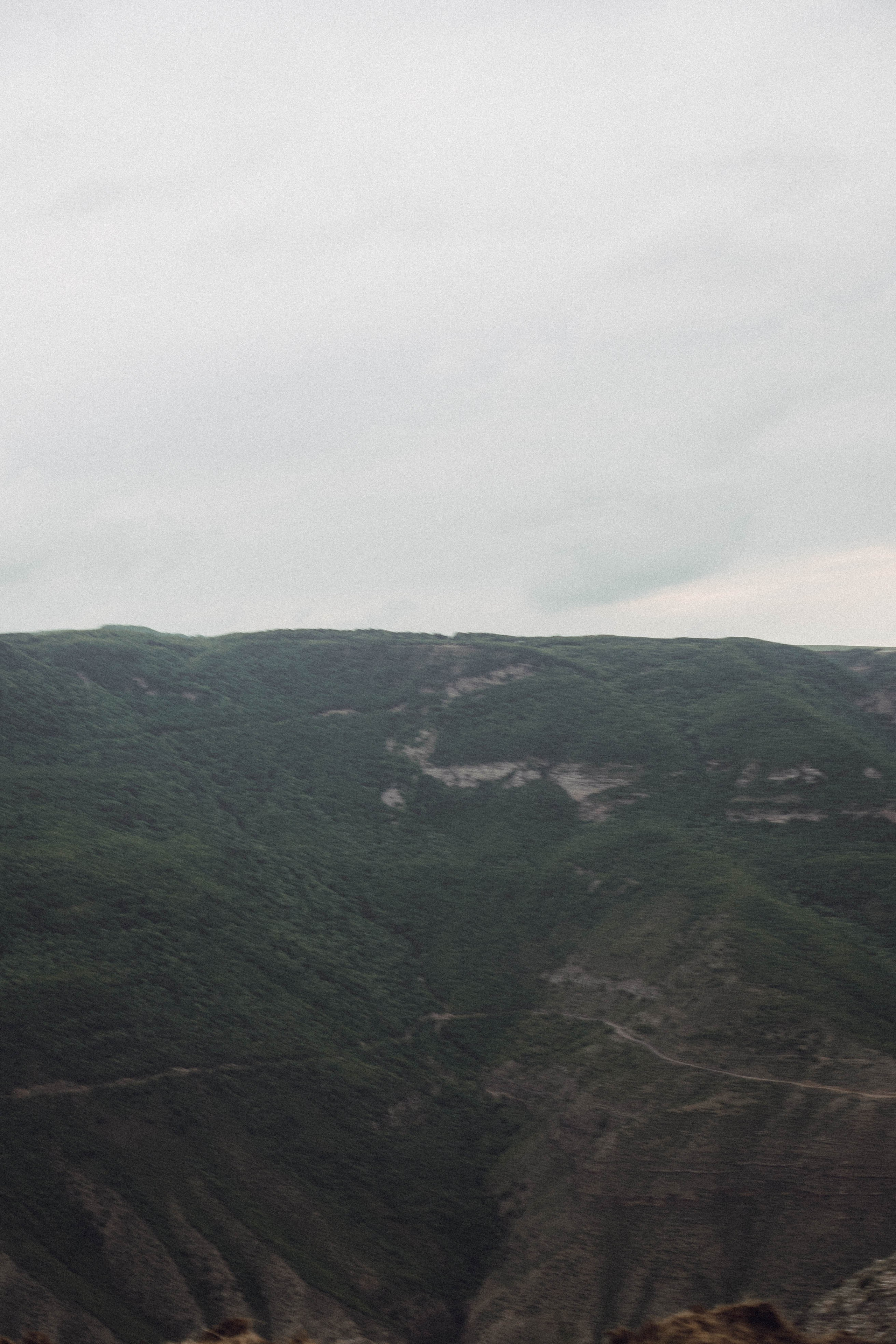 Кавказ. Профессиональный фотограф, Санкт-Петербург — Виктория Богомолова