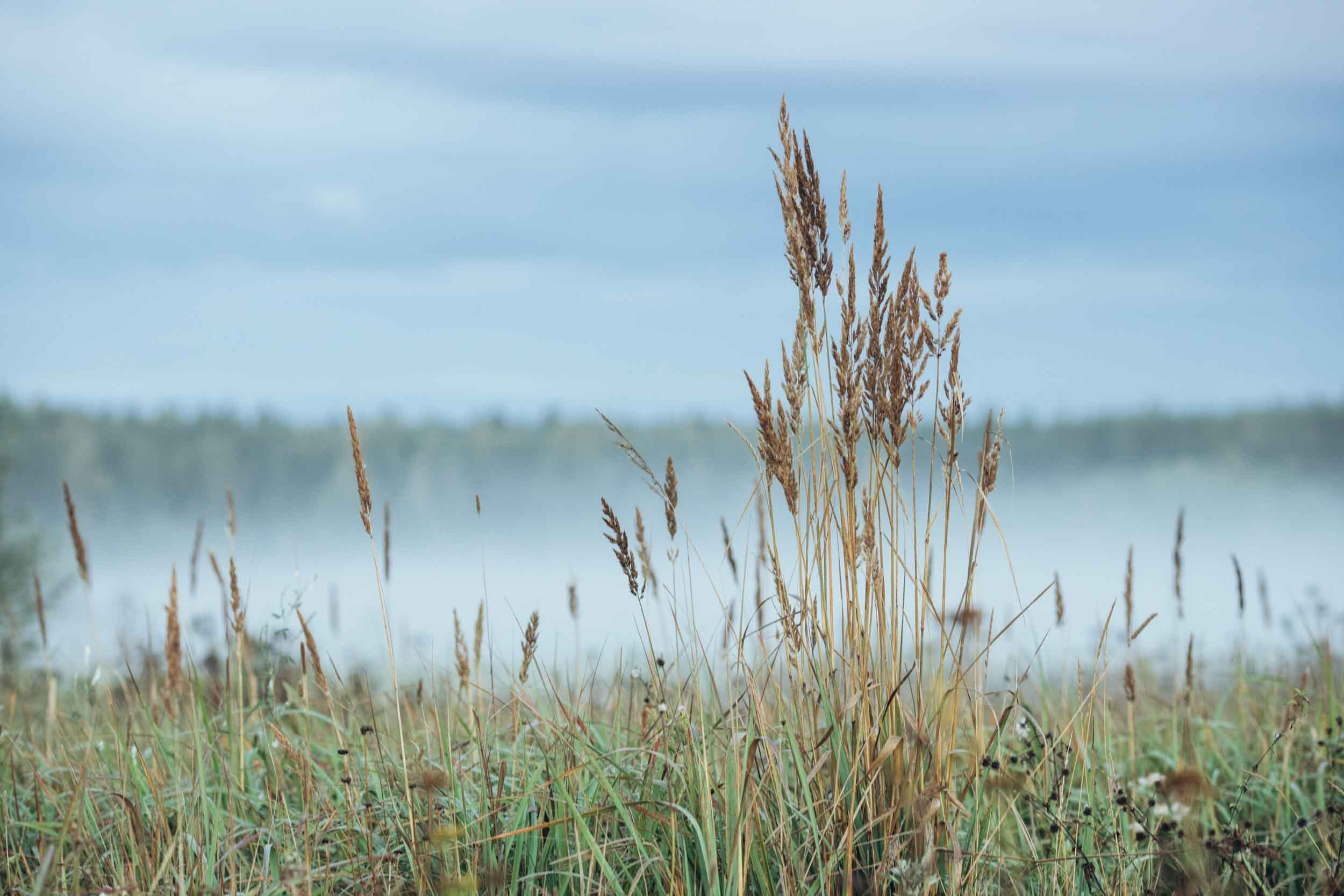 Природные пейзажи. Наталия Клевинскас портретный фотограф в Костроме