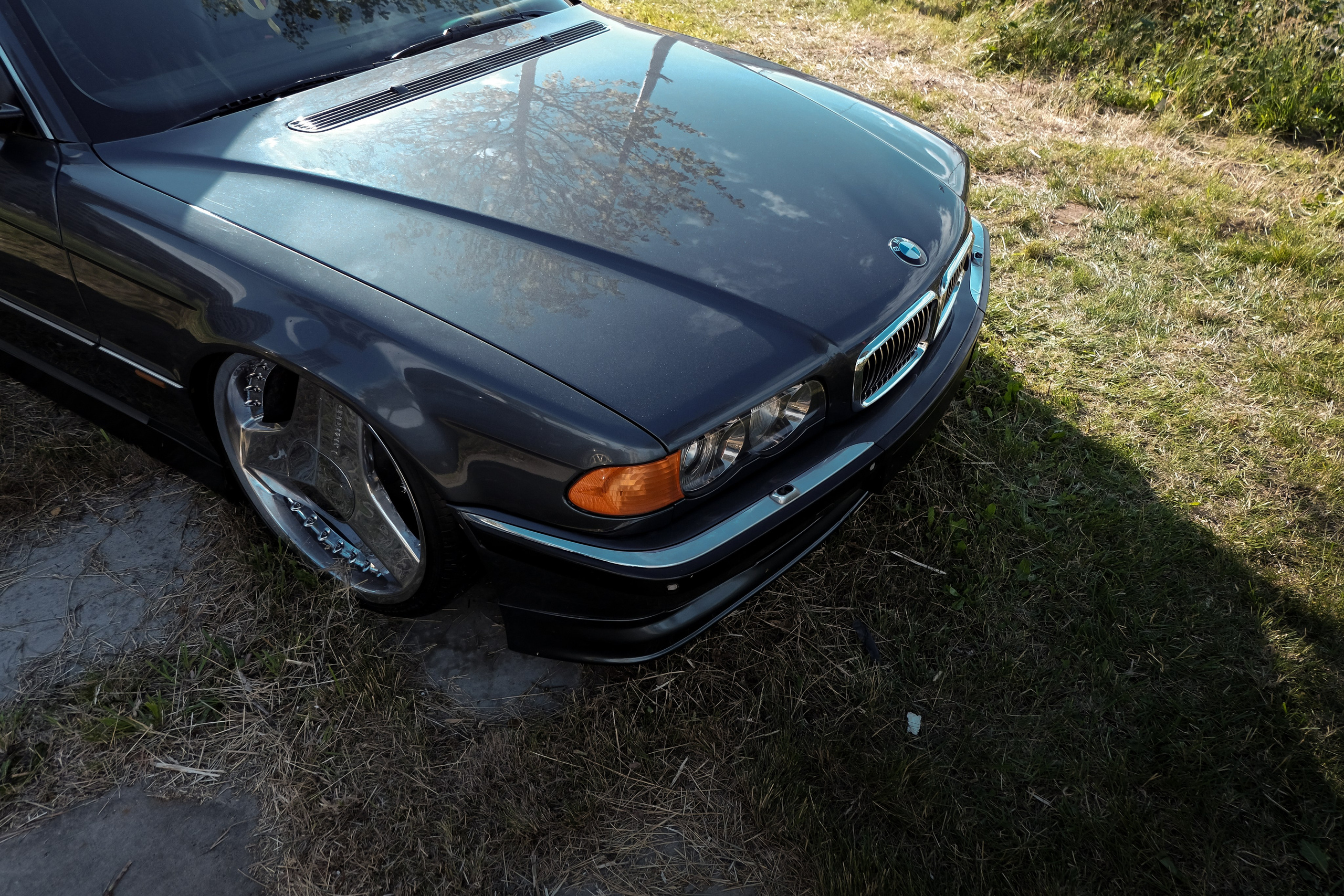 Tsunami Picnic 2024. Александр Попов