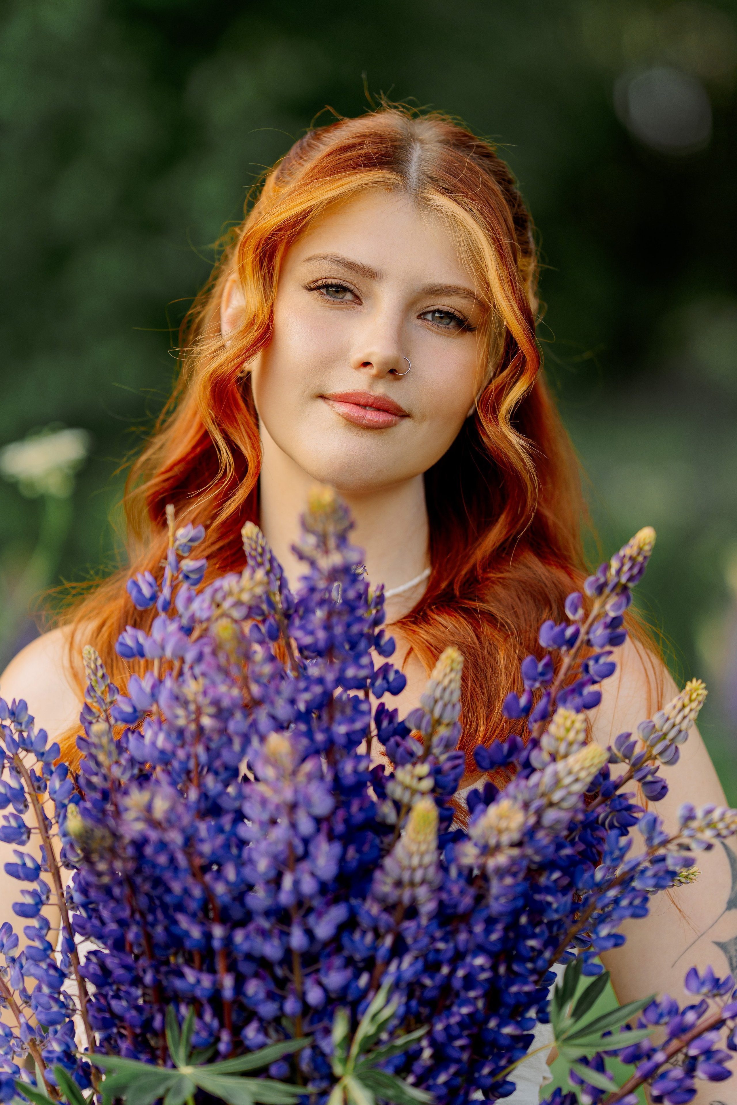 Люпины. Фотограф Юлия Попова