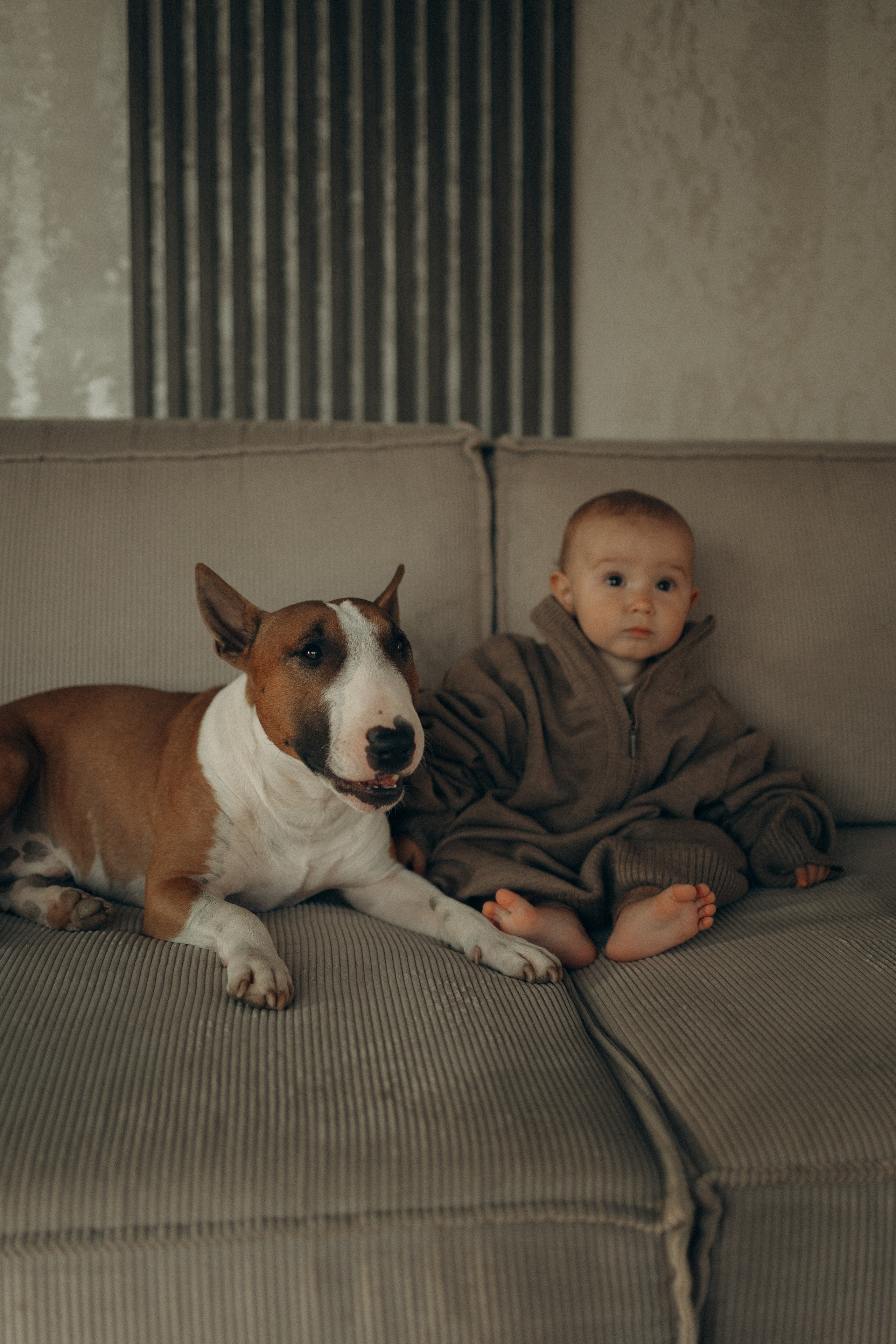 Семейная. Фотораф — анималист Мария Шистка