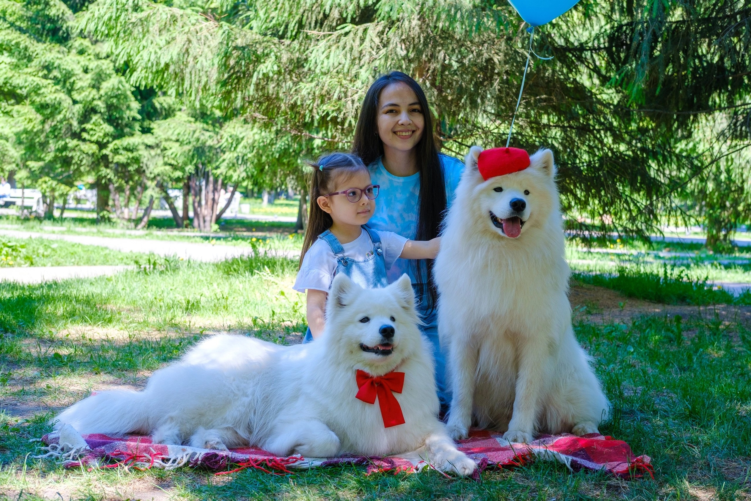 Благотворительная фотосессия. Самоед Новосибирск