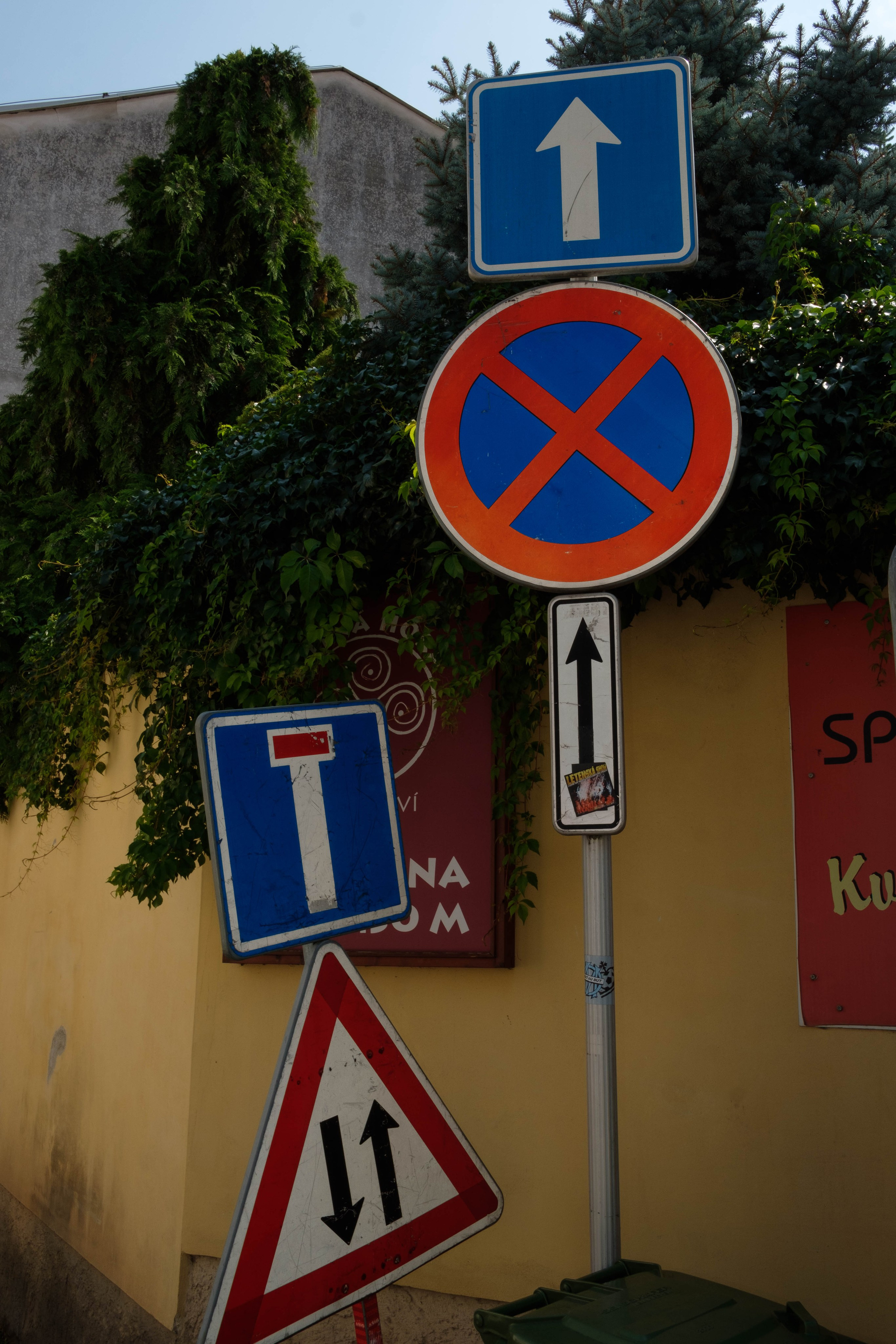 Simple. Photos. Photographer, Documentary and Art