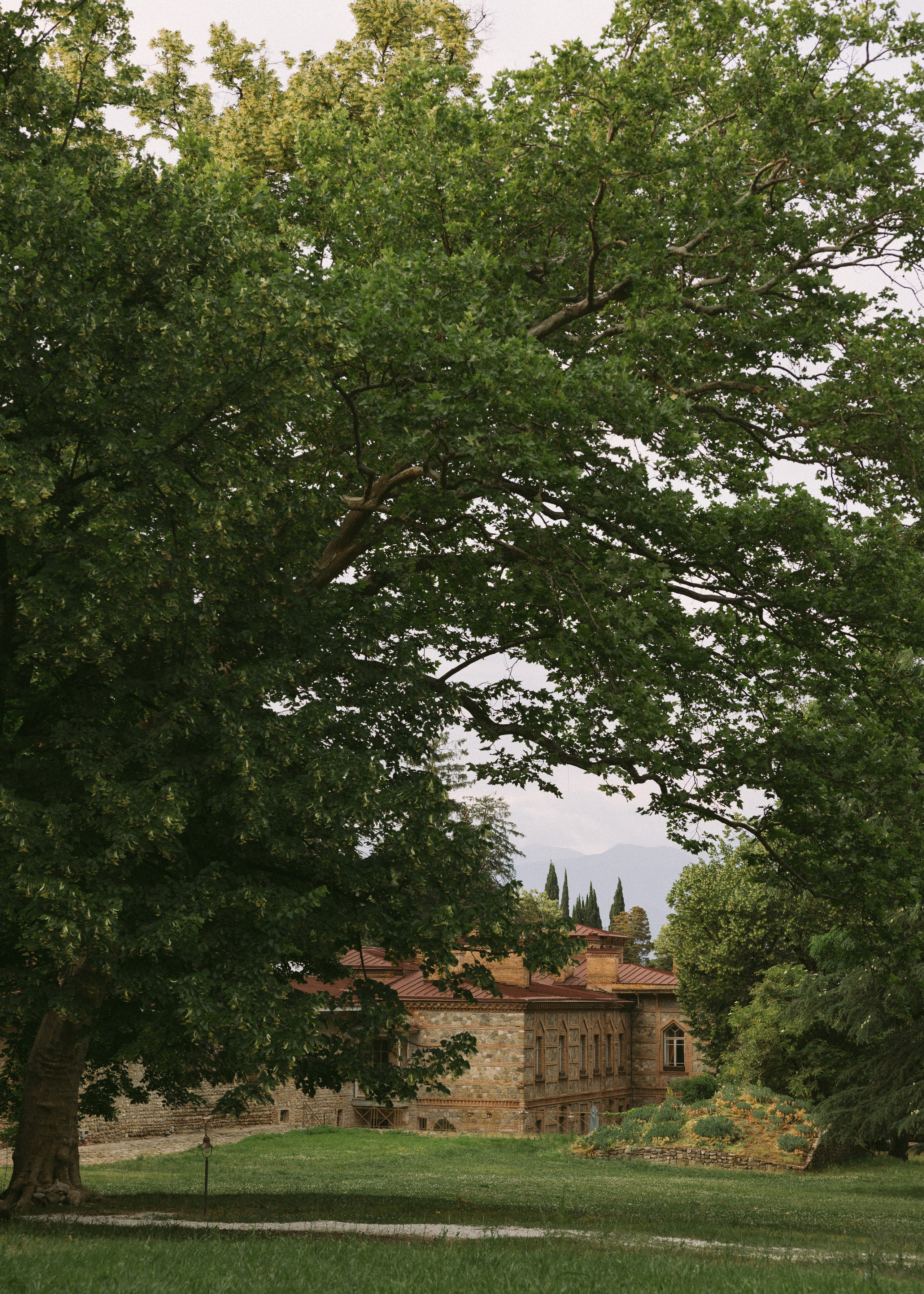 Nitsa & Shali • Tsinandali estate. Anna Fridenberg | wedding photographer