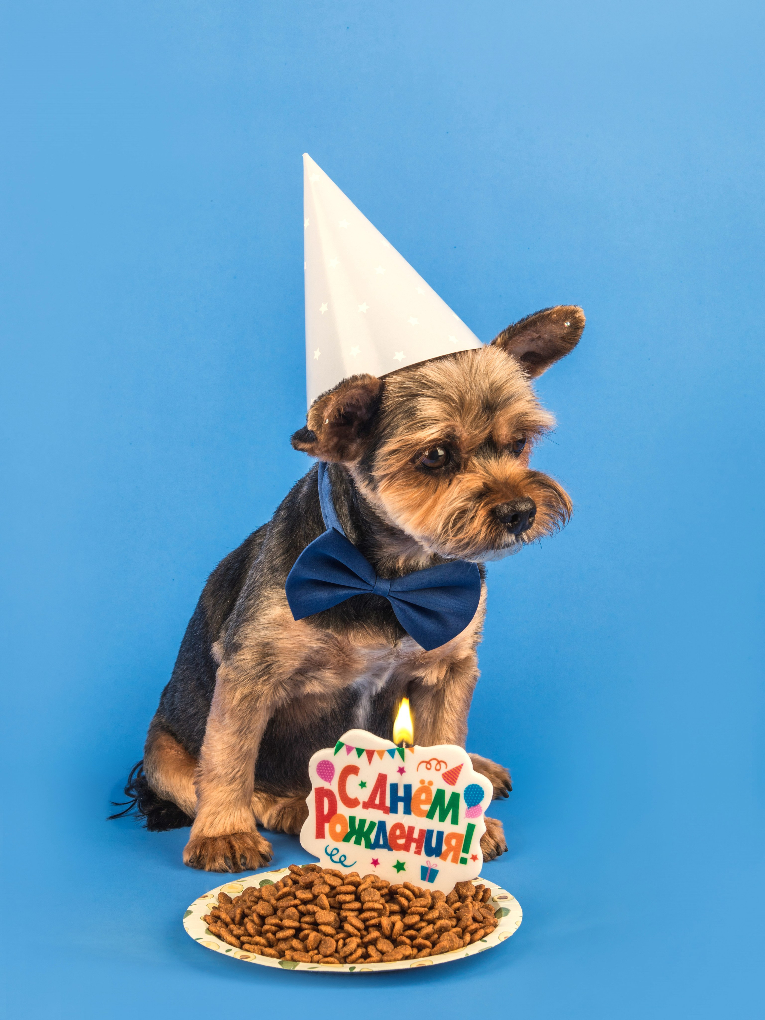 Серии. Предметный и семейный фотограф в Санкт-Петербурге Катерина Стеклова