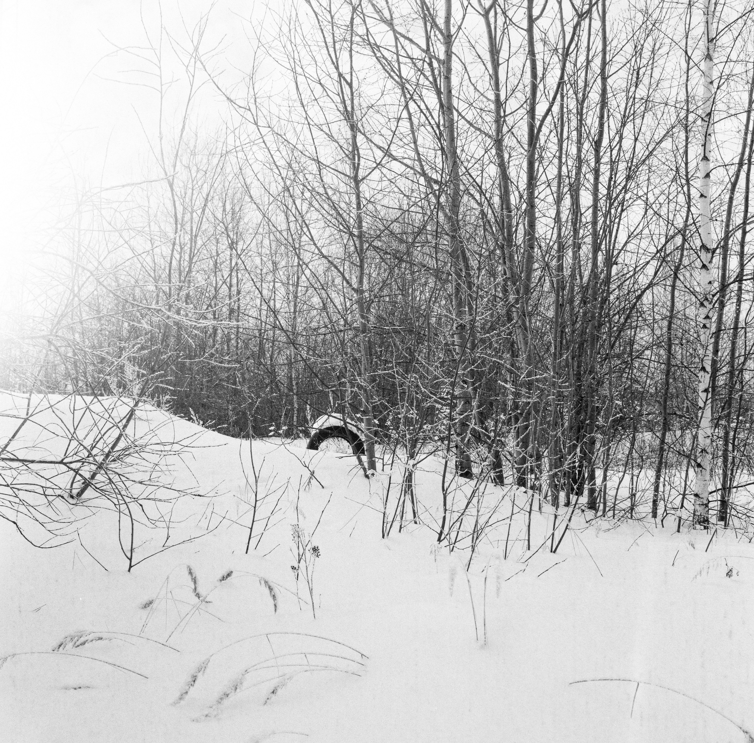 Плёнка 35/120мм. Katya Medvedeva