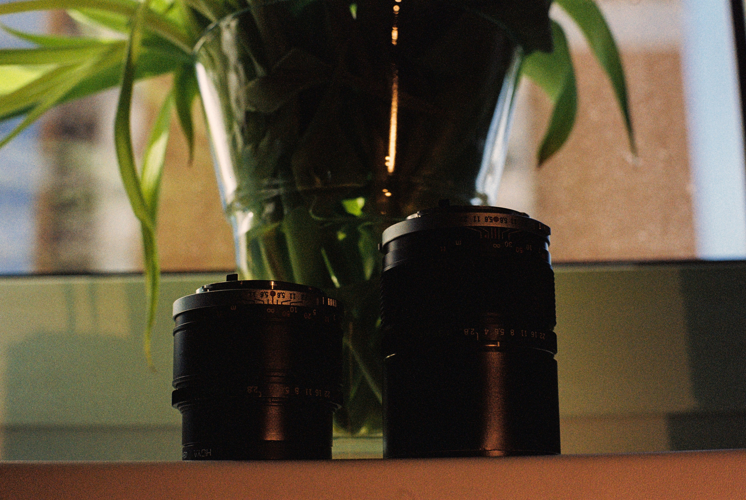 Плёночная весна 2025. Илья Михачёв Фотограф ПРО людей