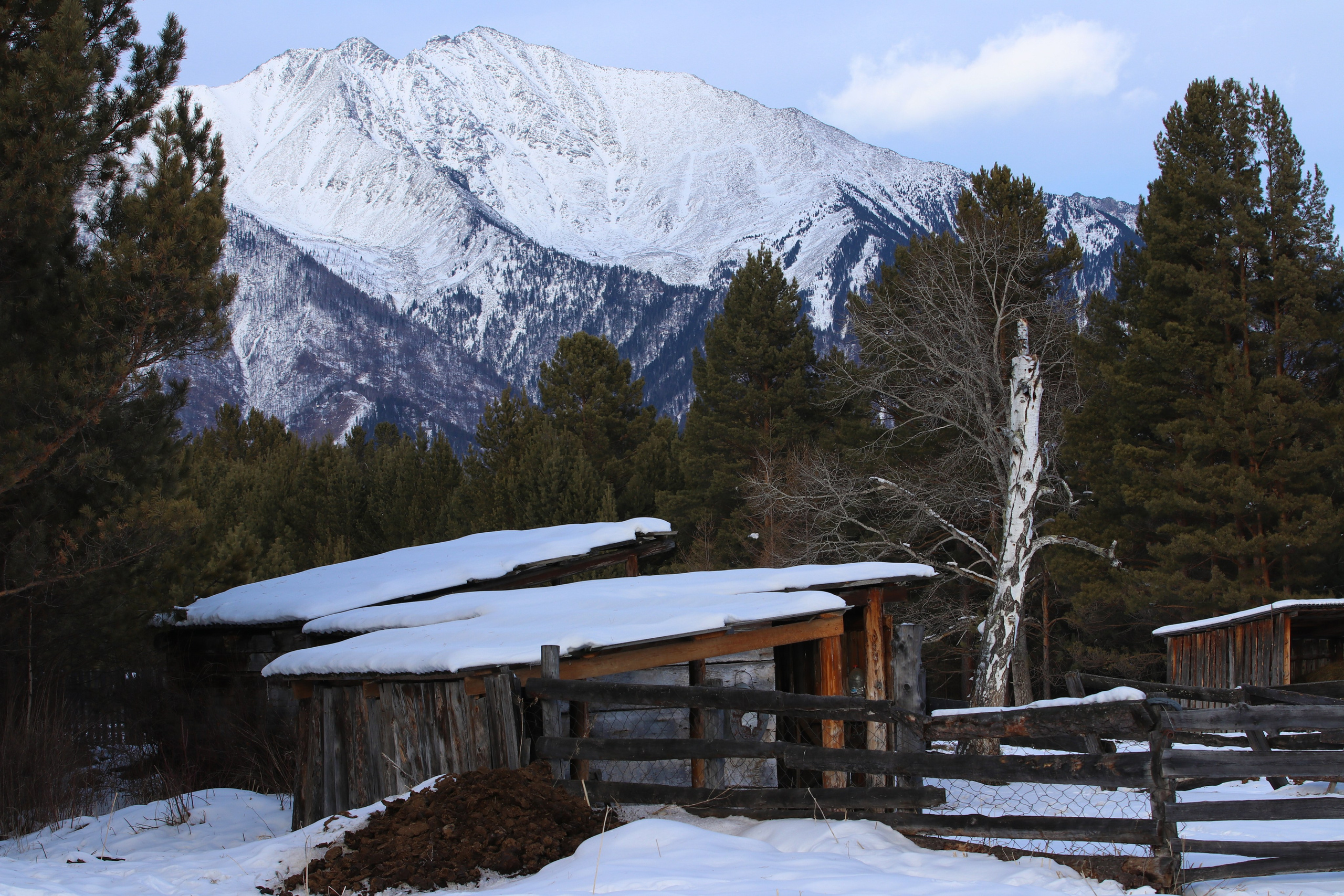 Аршан. Февраль 2025. Путешественник-фотограф из Санкт-Петербурга Татьяна Свистулина