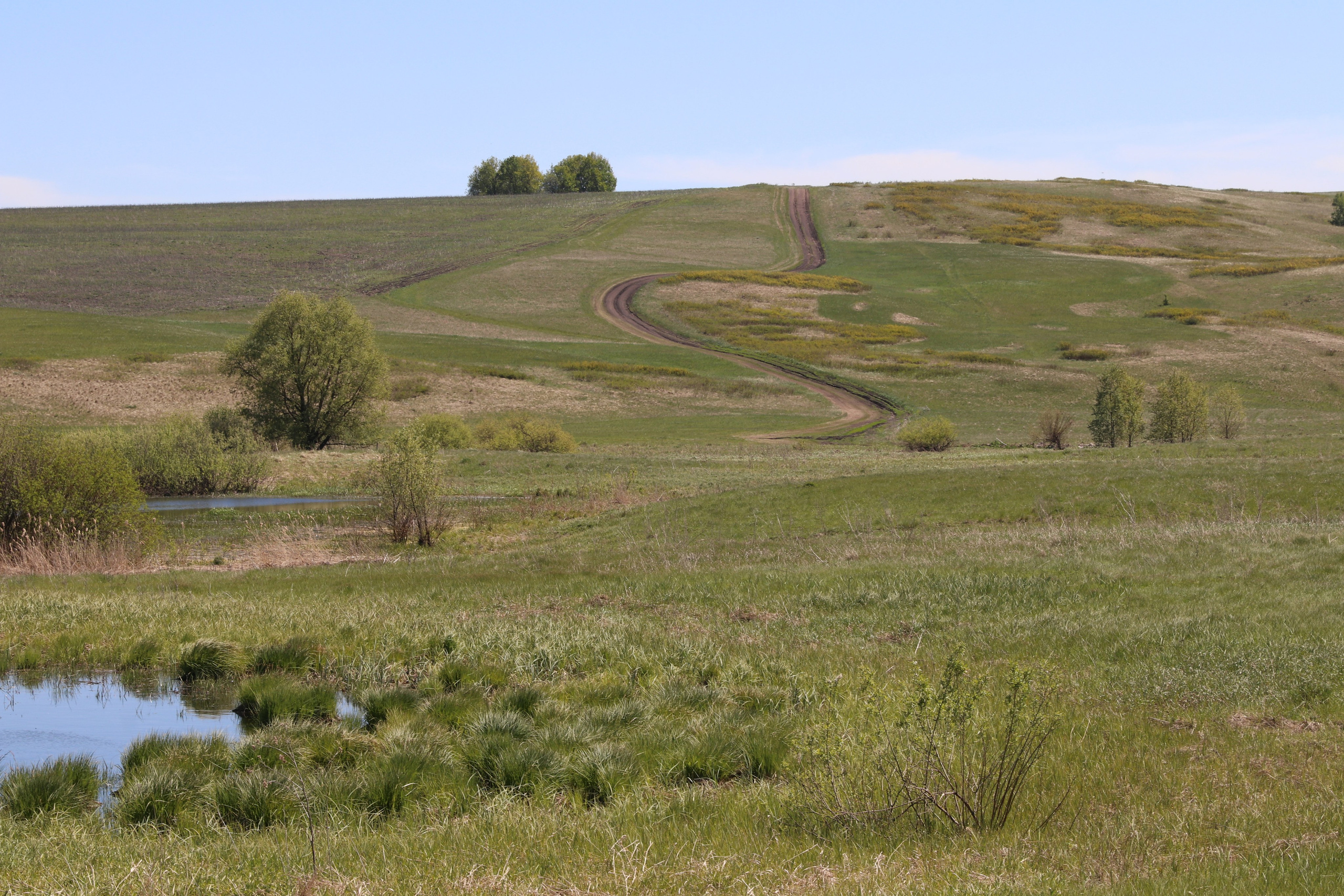 Велопоход Уфа — Мелеуз. Май 2024. Путешественник-фотограф из Санкт-Петербурга Татьяна Свистулина