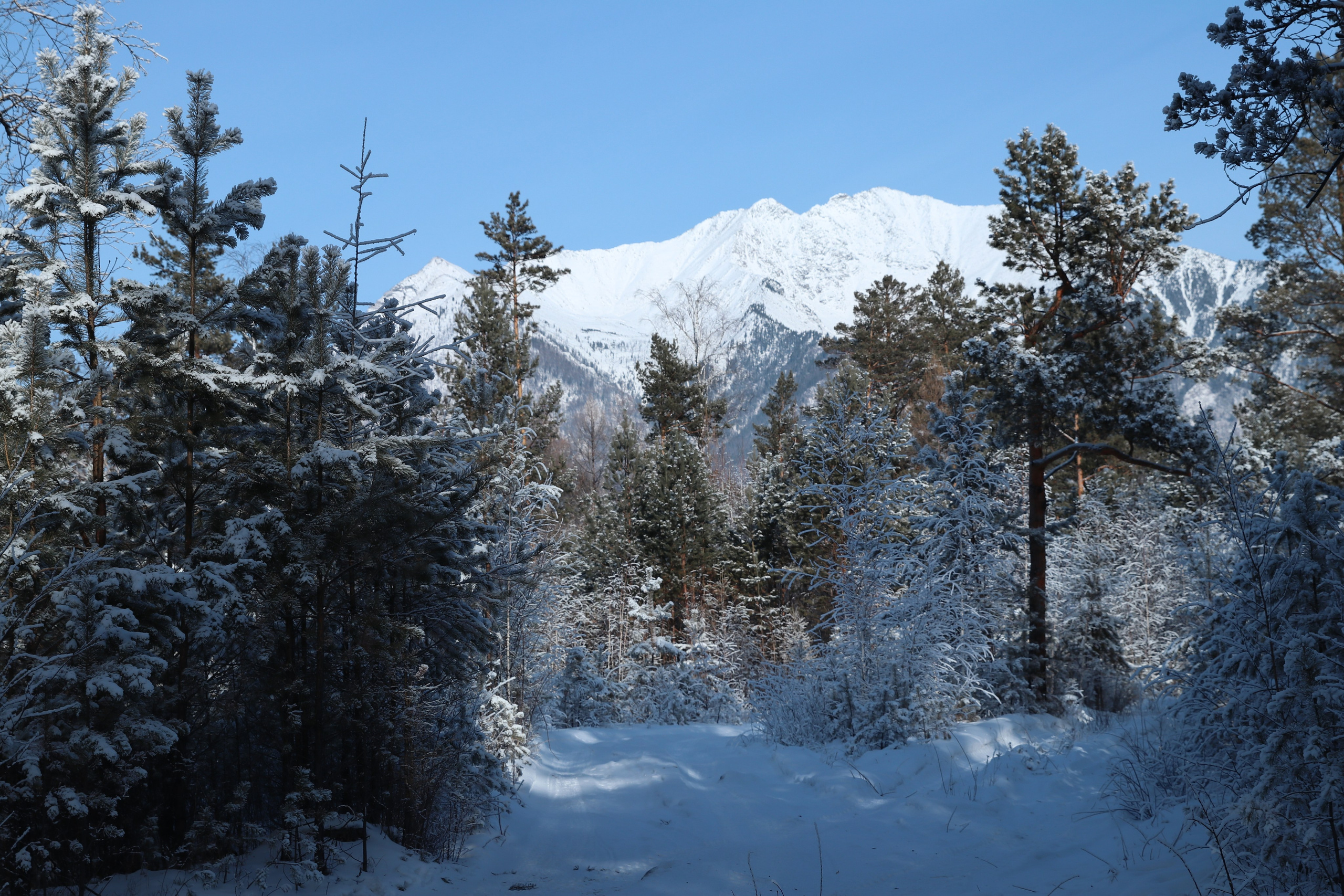 Аршан. Январь 2024. Путешественник-фотограф из Санкт-Петербурга Татьяна Свистулина