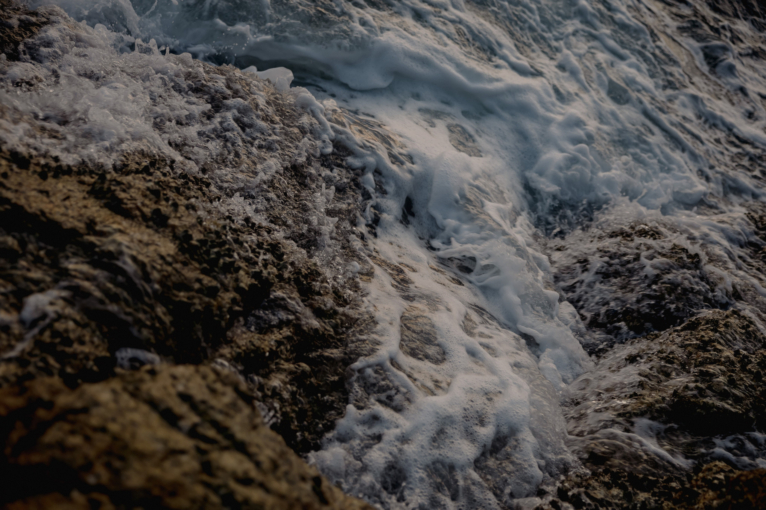 Дамир & Мадина. Свадебный фотограф Костанай/Астана