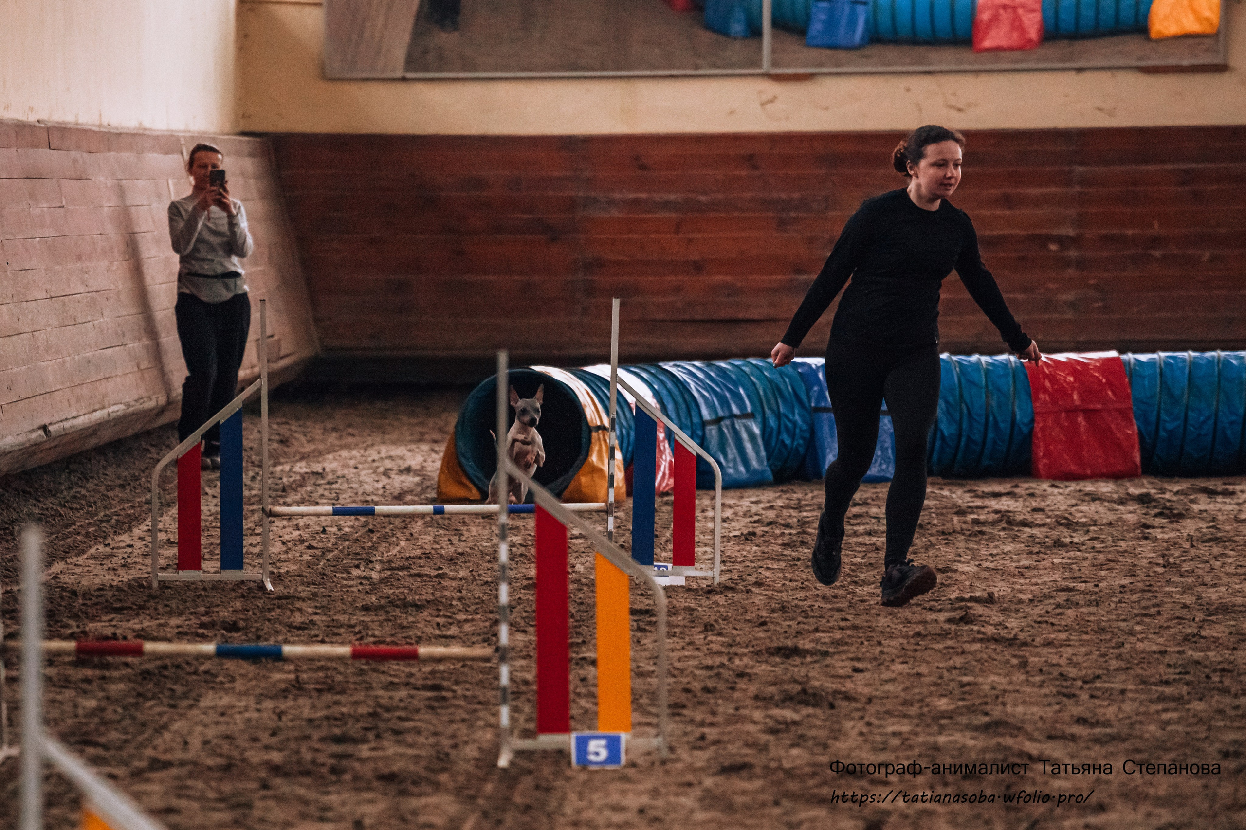Соревнования по Аджилити 25.02.2024. Фотограф-анималист Татьяна Степанова