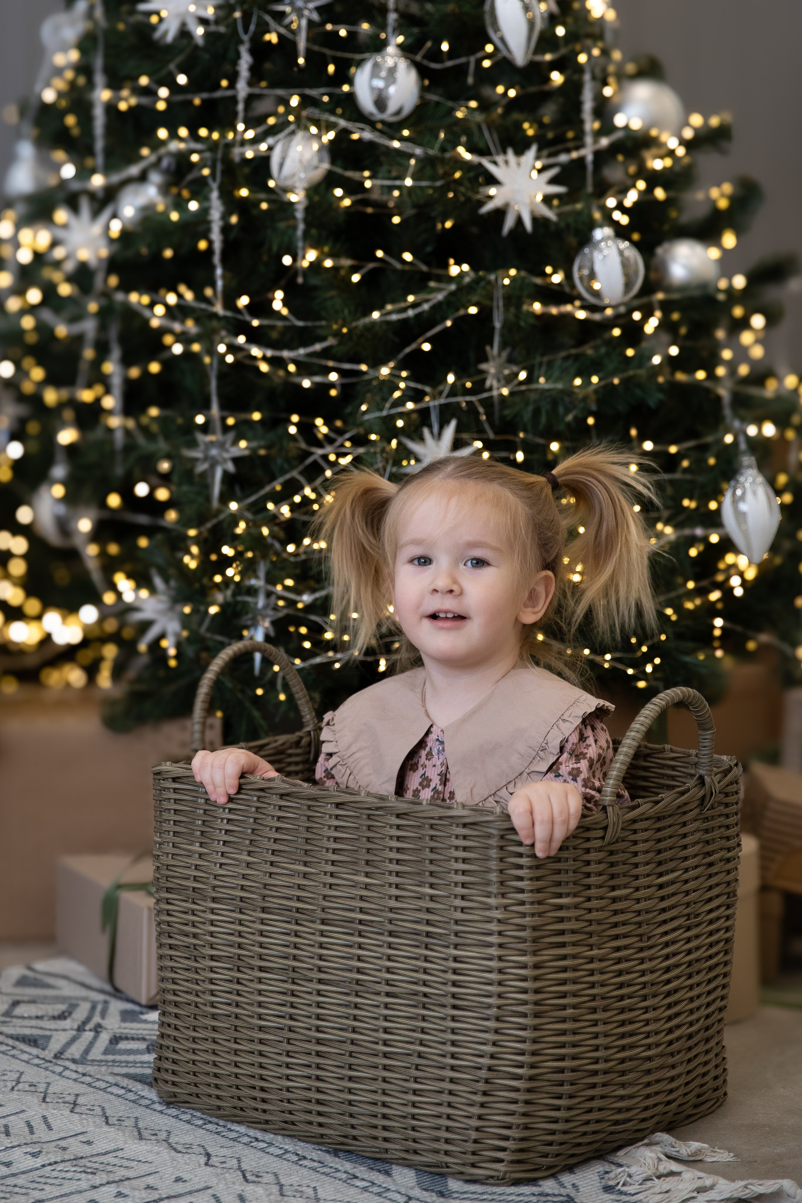 Новый год. Фотограф в Омске