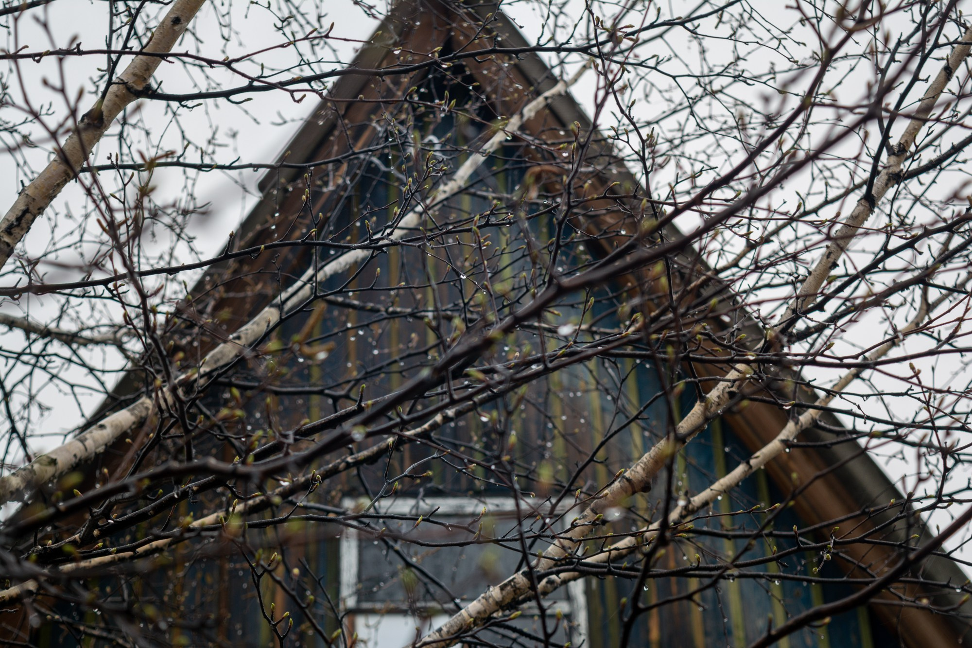 Разное. Репортажный фотограф г. Чита