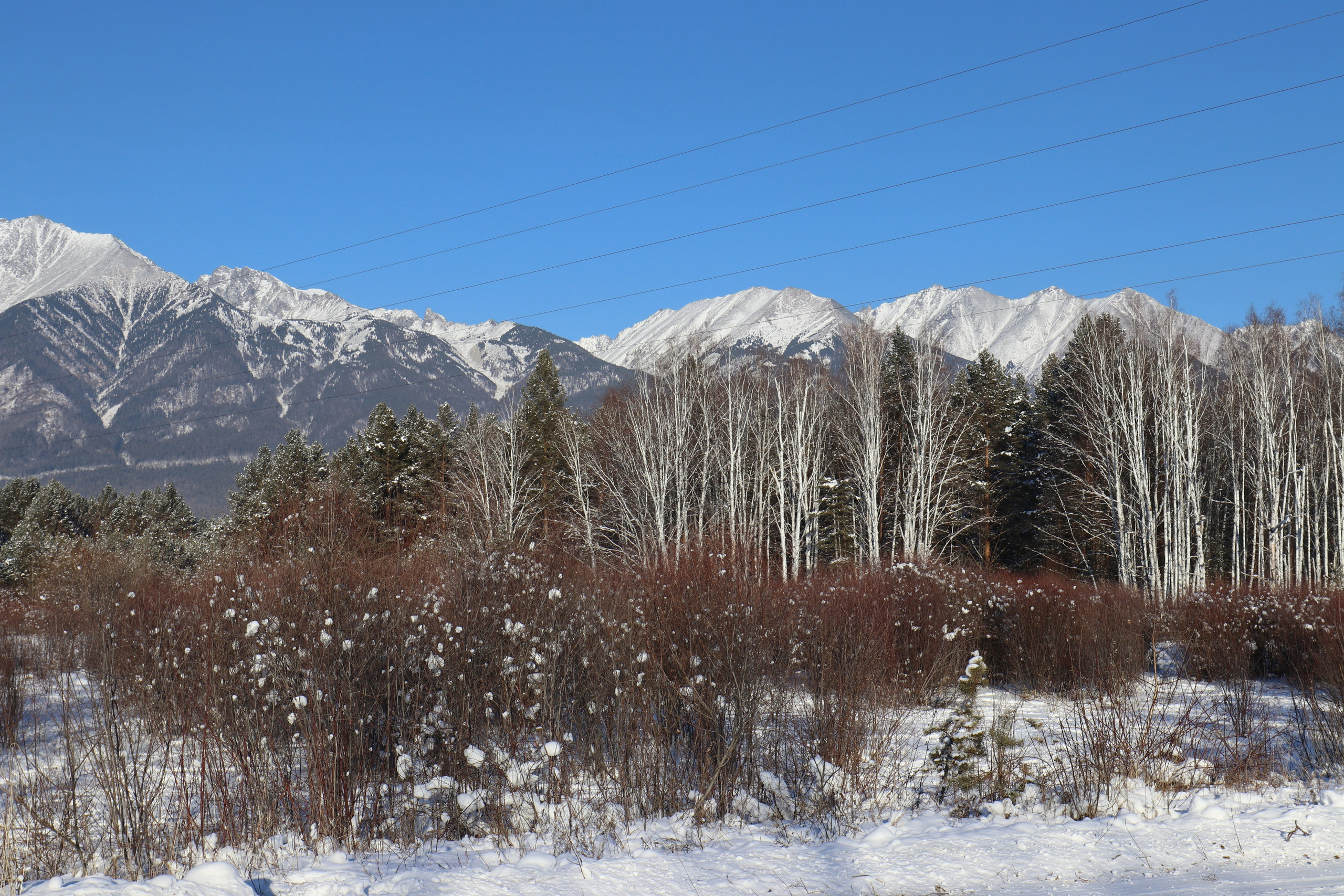 Аршан. Январь 2022. Путешественник-фотограф из Санкт-Петербурга Татьяна Свистулина