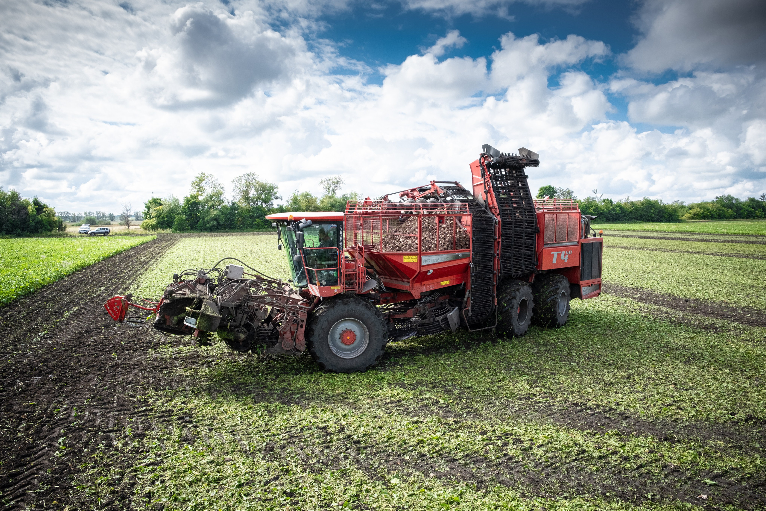 Уборка сахарной свеклы