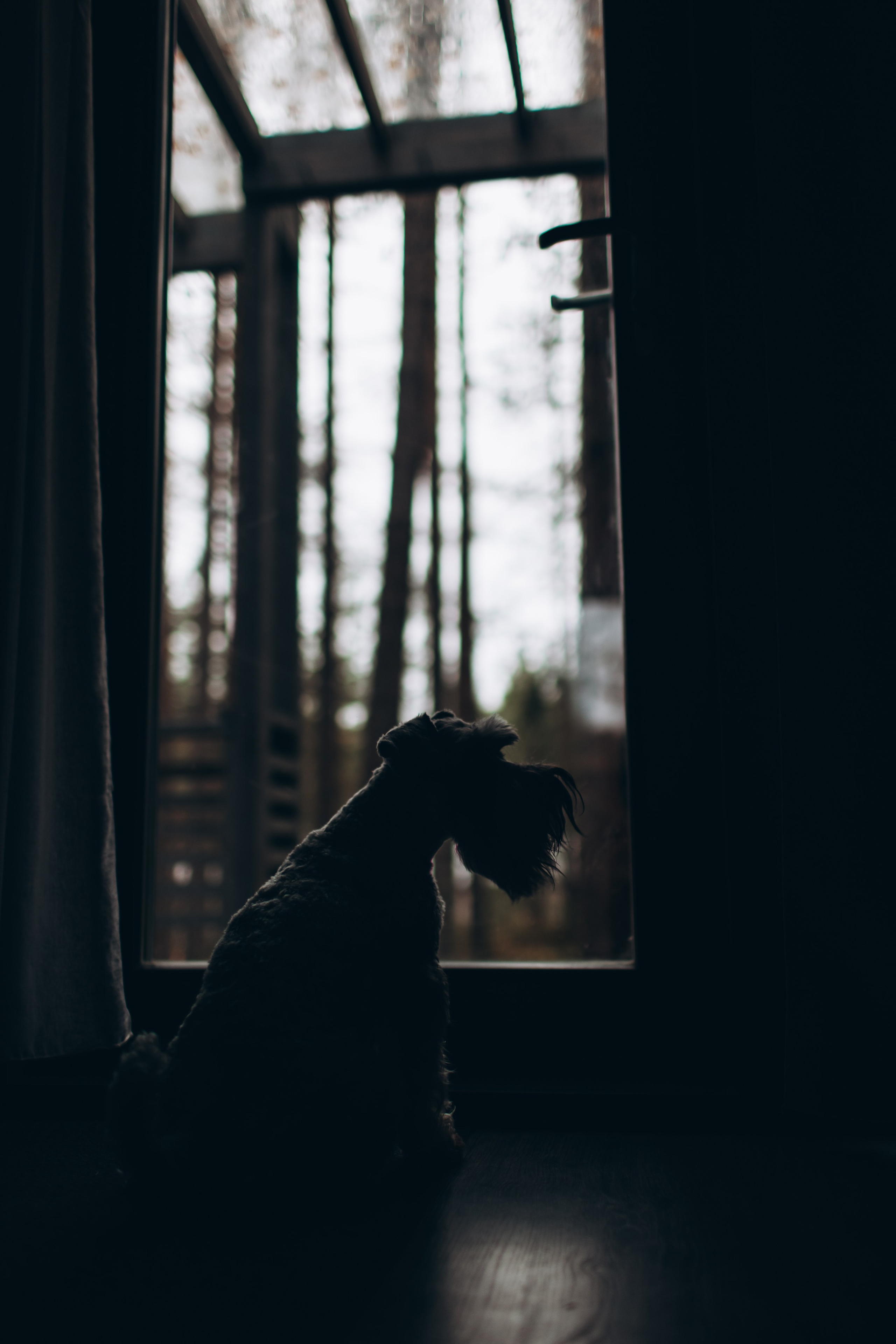 Первая осень вчетвером. Семейный фотограф в Санкт-Петербурге — Лена Тимина