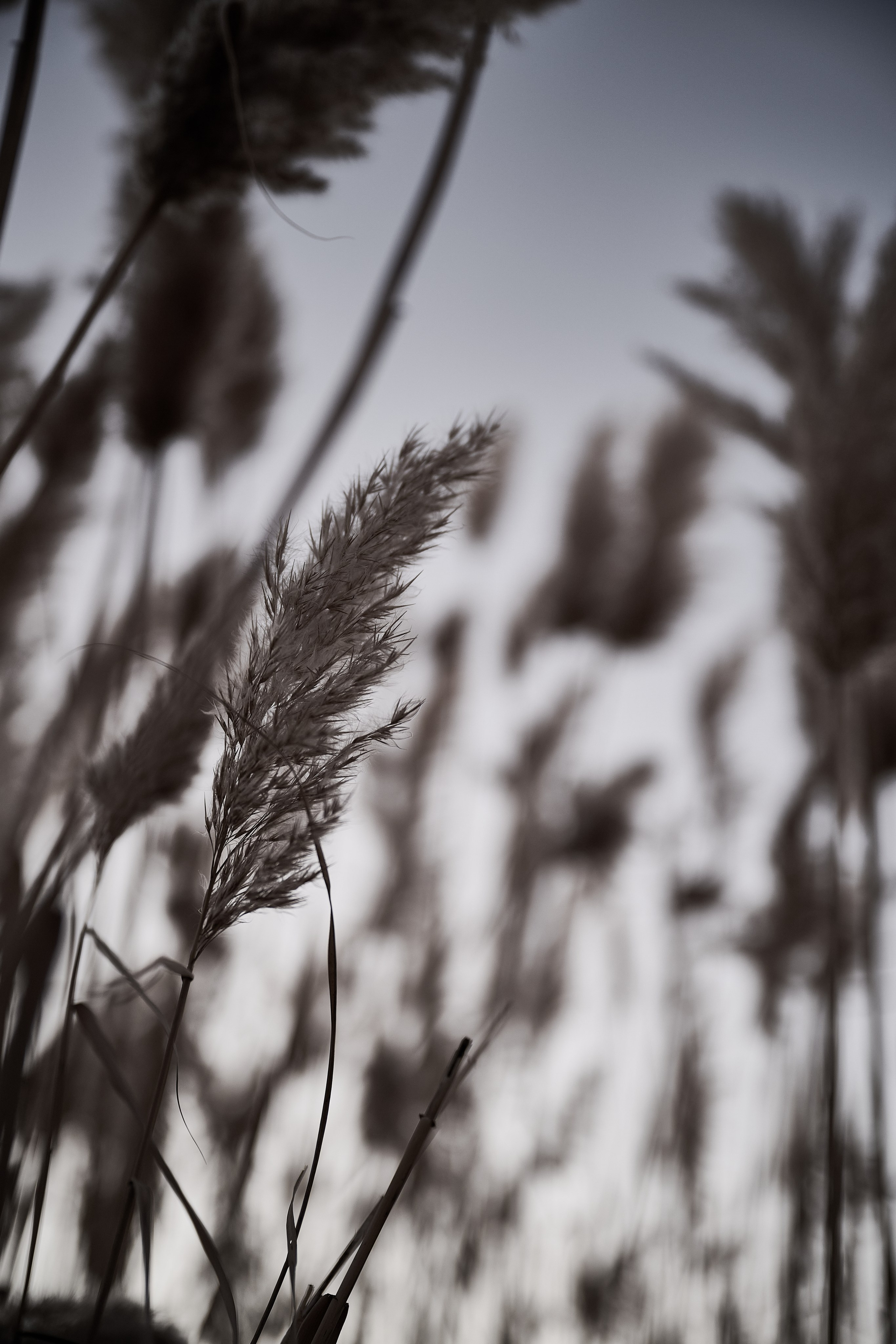 Дороги Территорий. Фотограф Роман Адлер