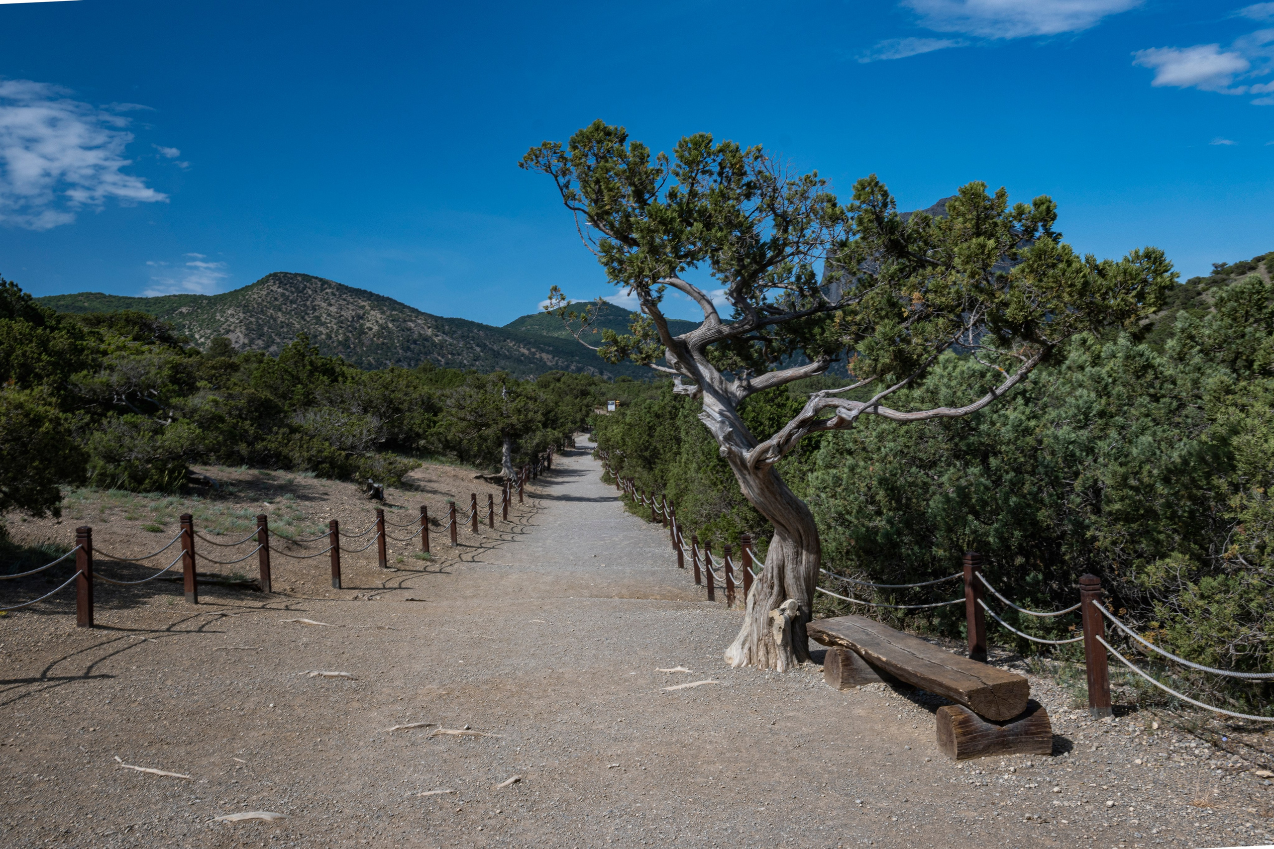 Крым май 2022. Фотограф Роман Адлер