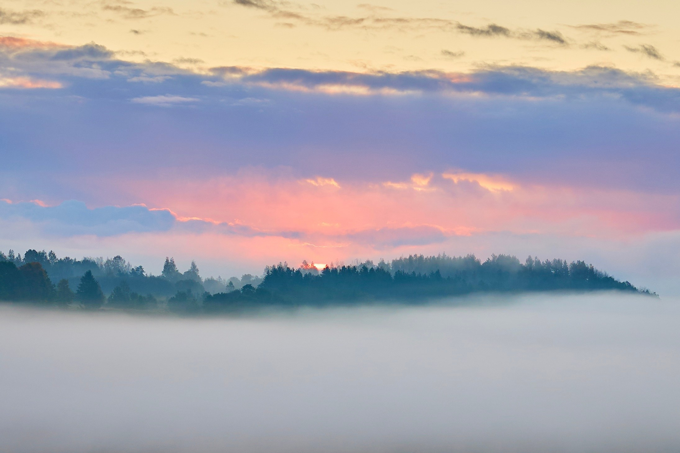 Пейзаж. Фотограф Люся Воробьева