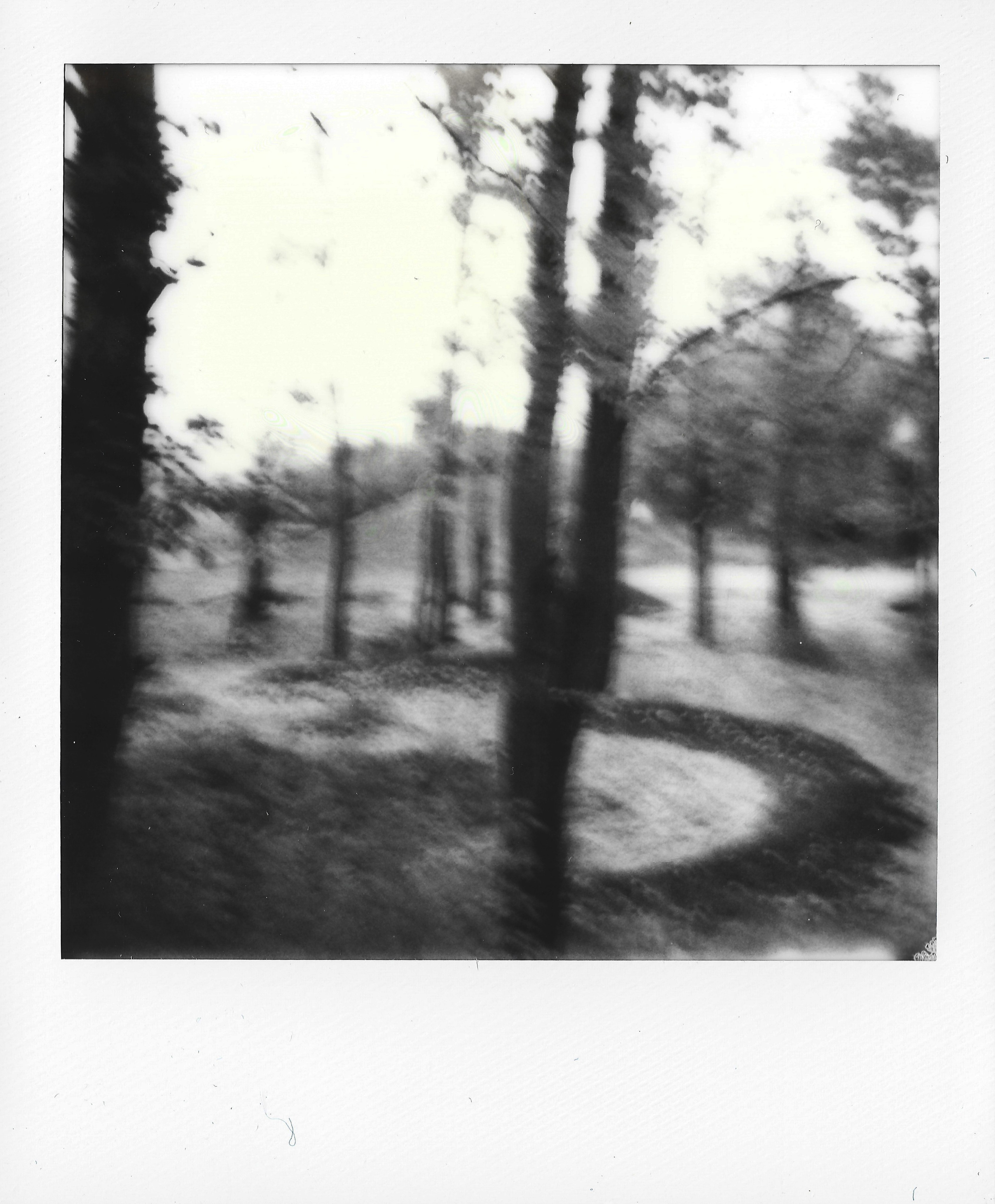 Photo Portfolio. Morskyakanulavmorya