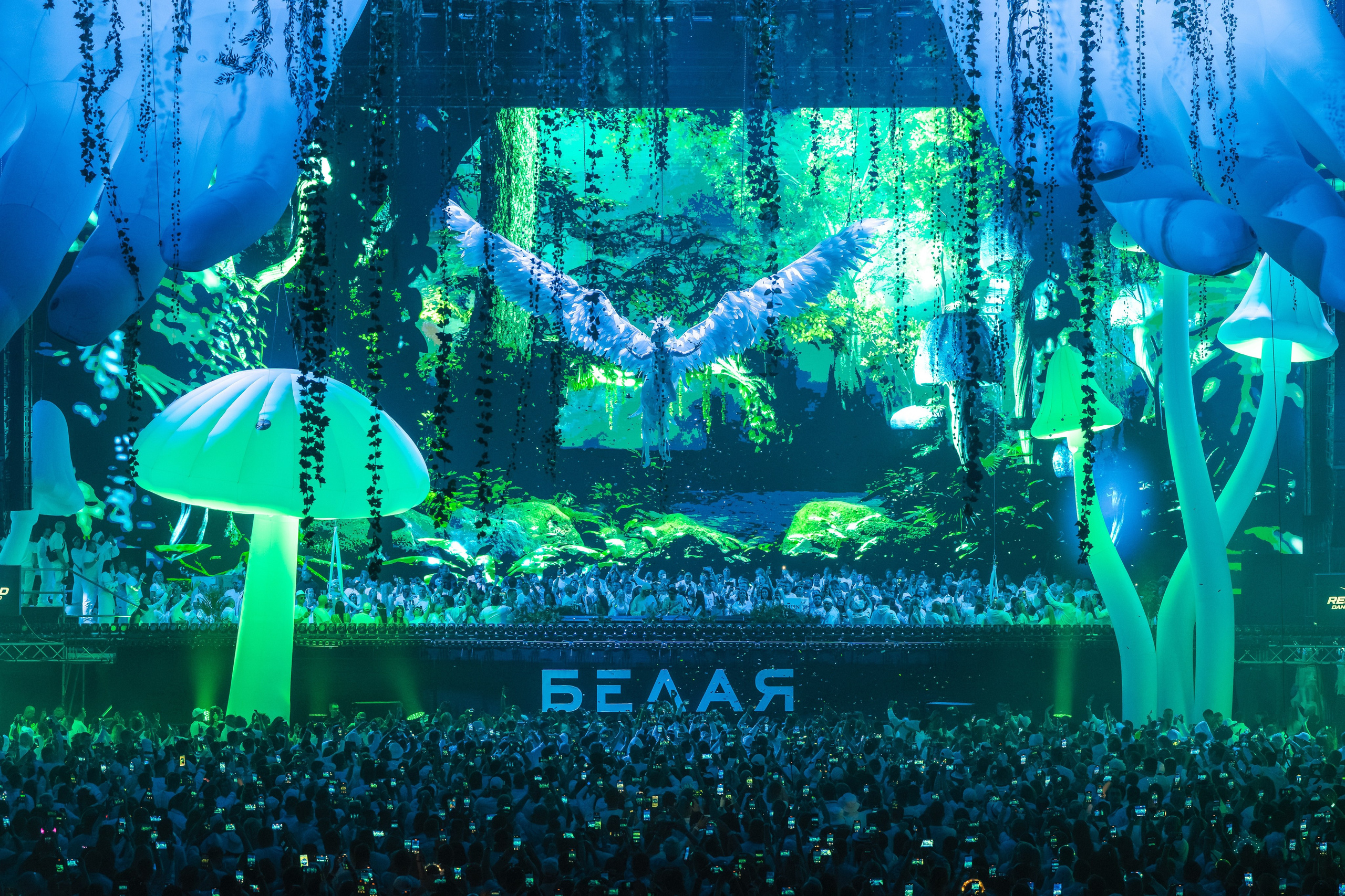 БЕЛАЯ 2025. Святослав Буньков | фотограф