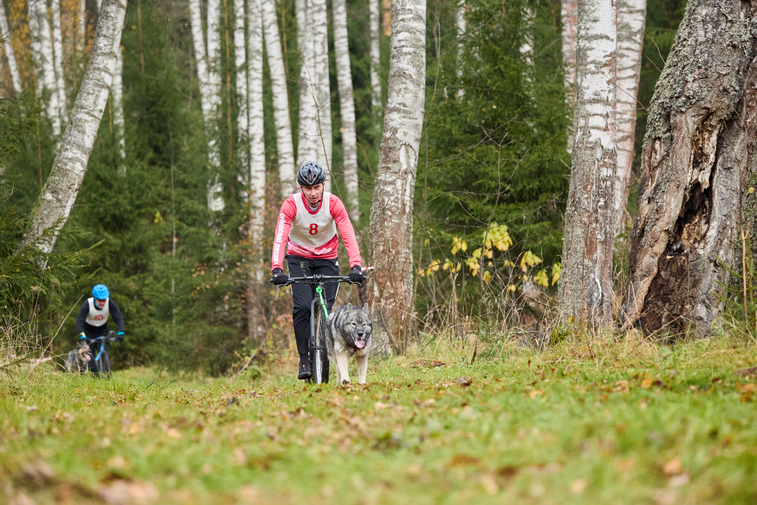 Чемпионат по ЕС Ярославской области. Фотограф Ирина Астор