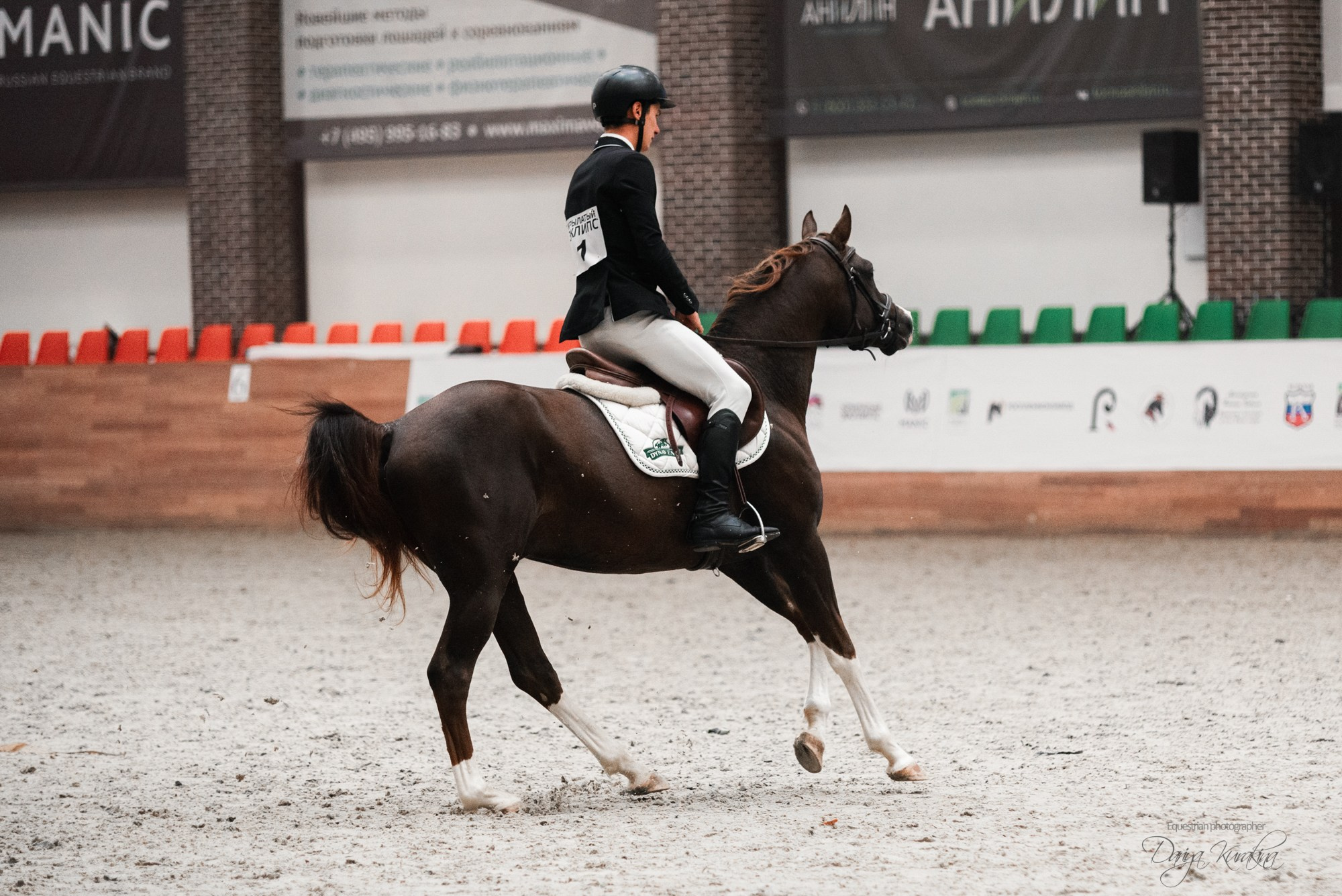 8-я международная выставка Конная Россия. Конный фотограф Куракина Дарья • Фотосессии с лошадьми