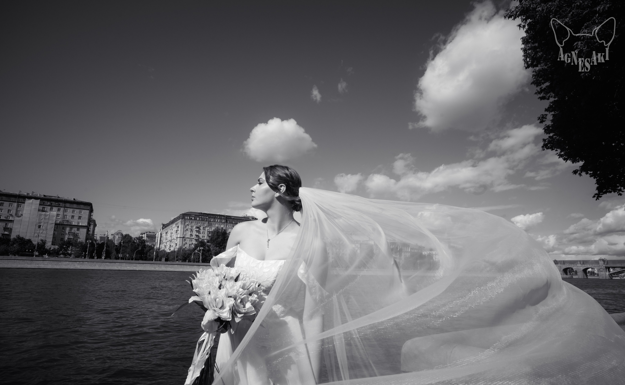 Алексей и Елена. Agnes Aki  Твой НЮ фотограф в Москве