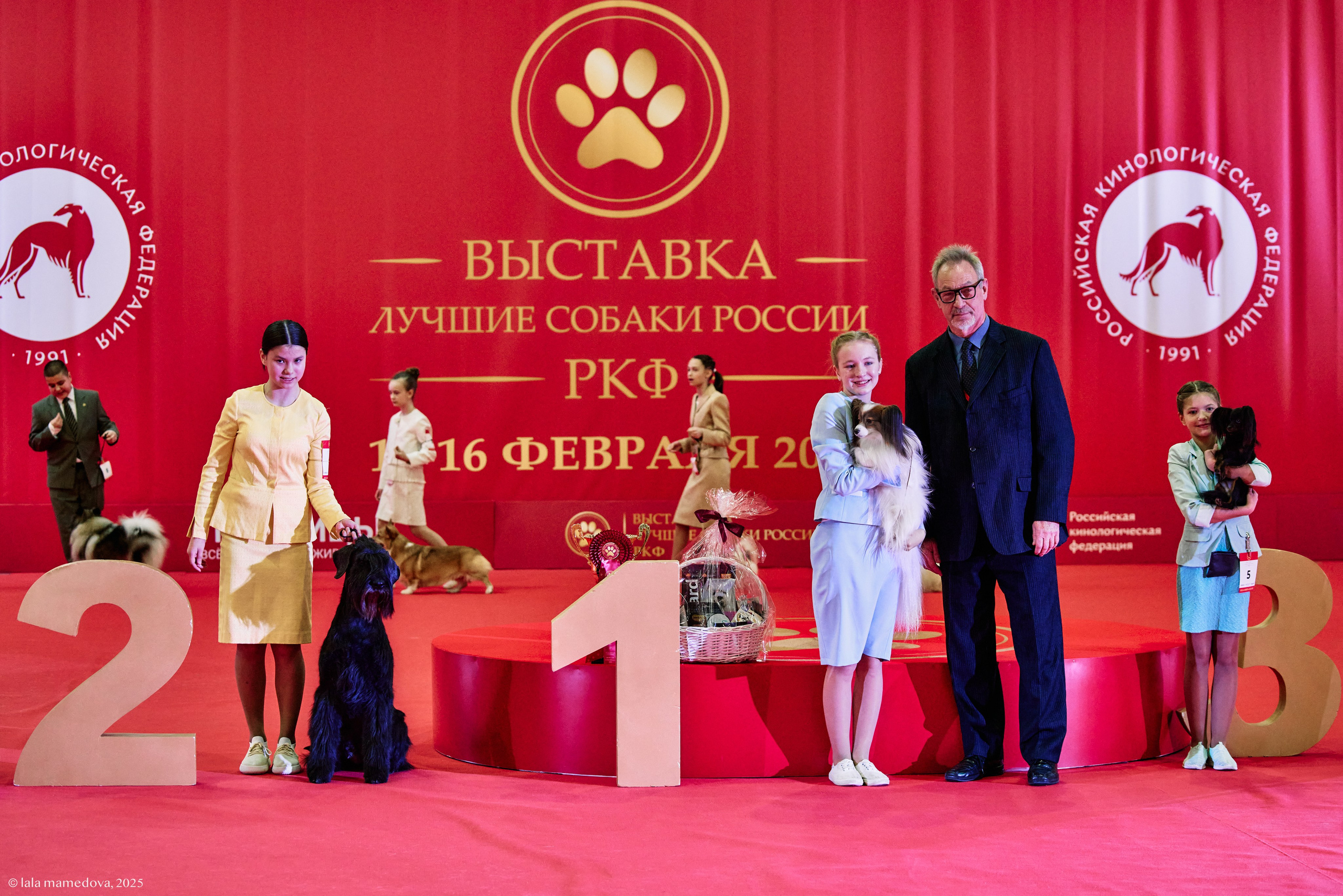 ЛУЧШИЕ СОБАКИ РОССИИ РКФ 2025