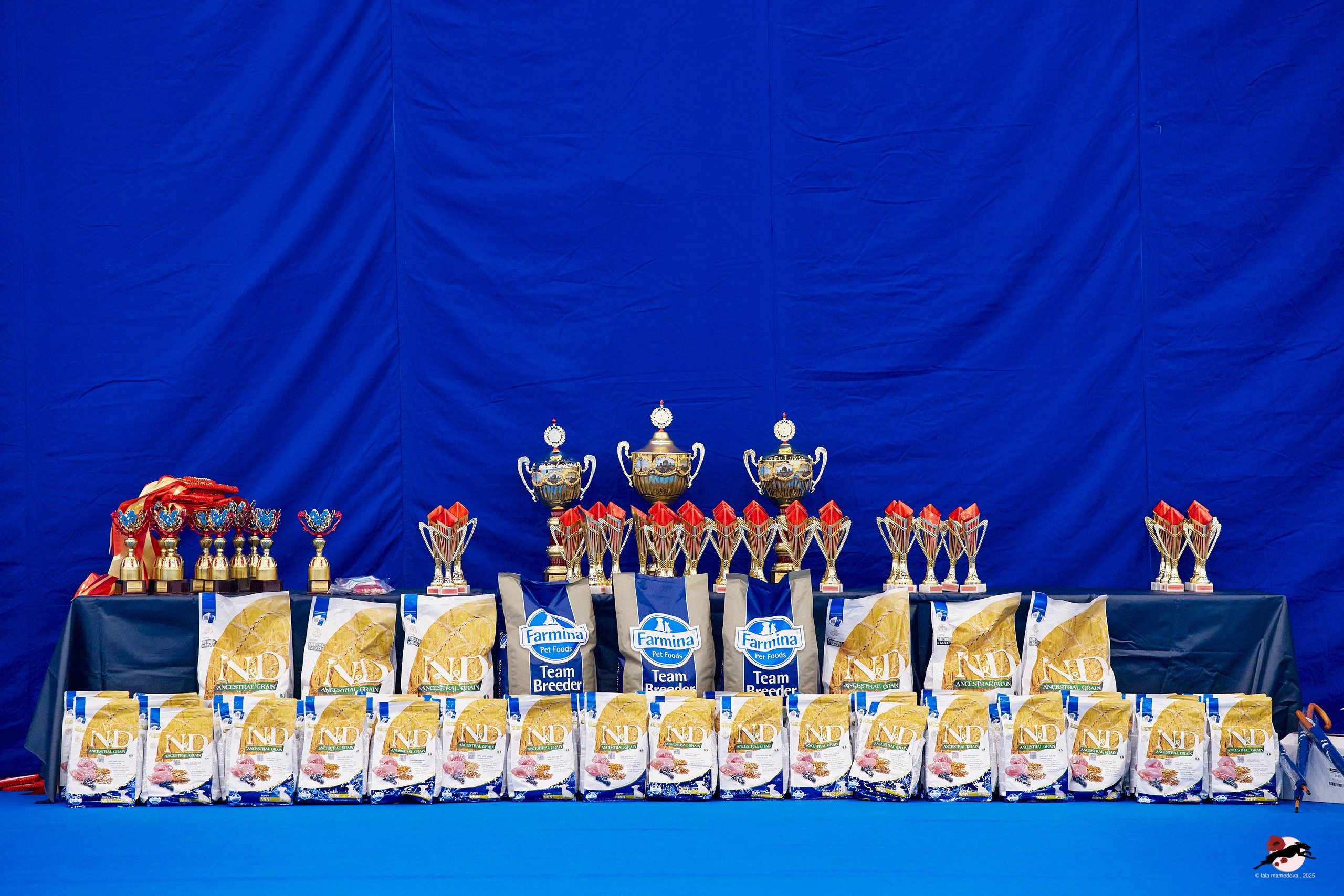 27.04.2025 | "Петербург-Элита 2025" & «КУБОК «ЭЛИТЫ»-2025»