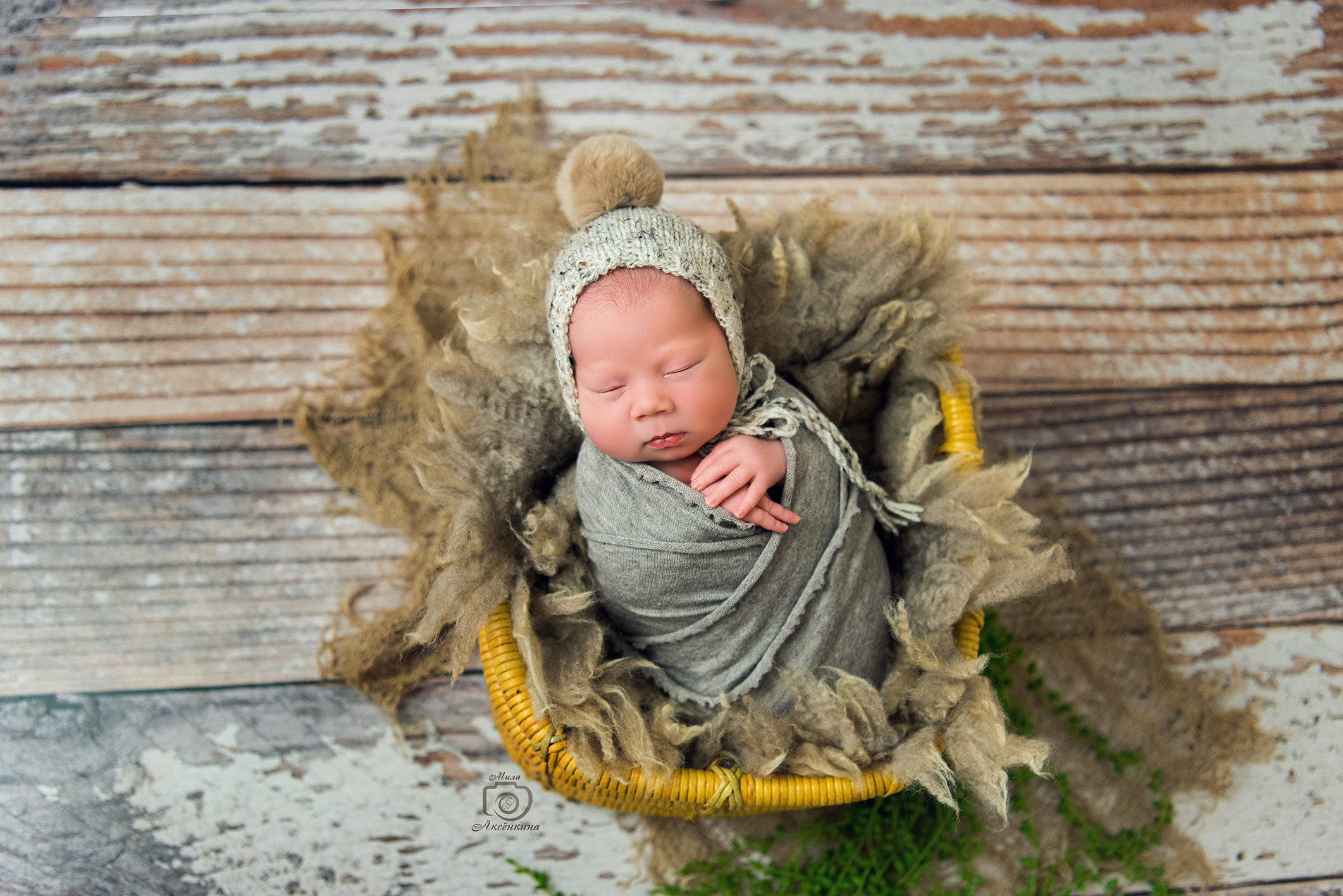 Портфолио новорожденных. Фотограф в Нефтеюганске Мила Аксёнкина