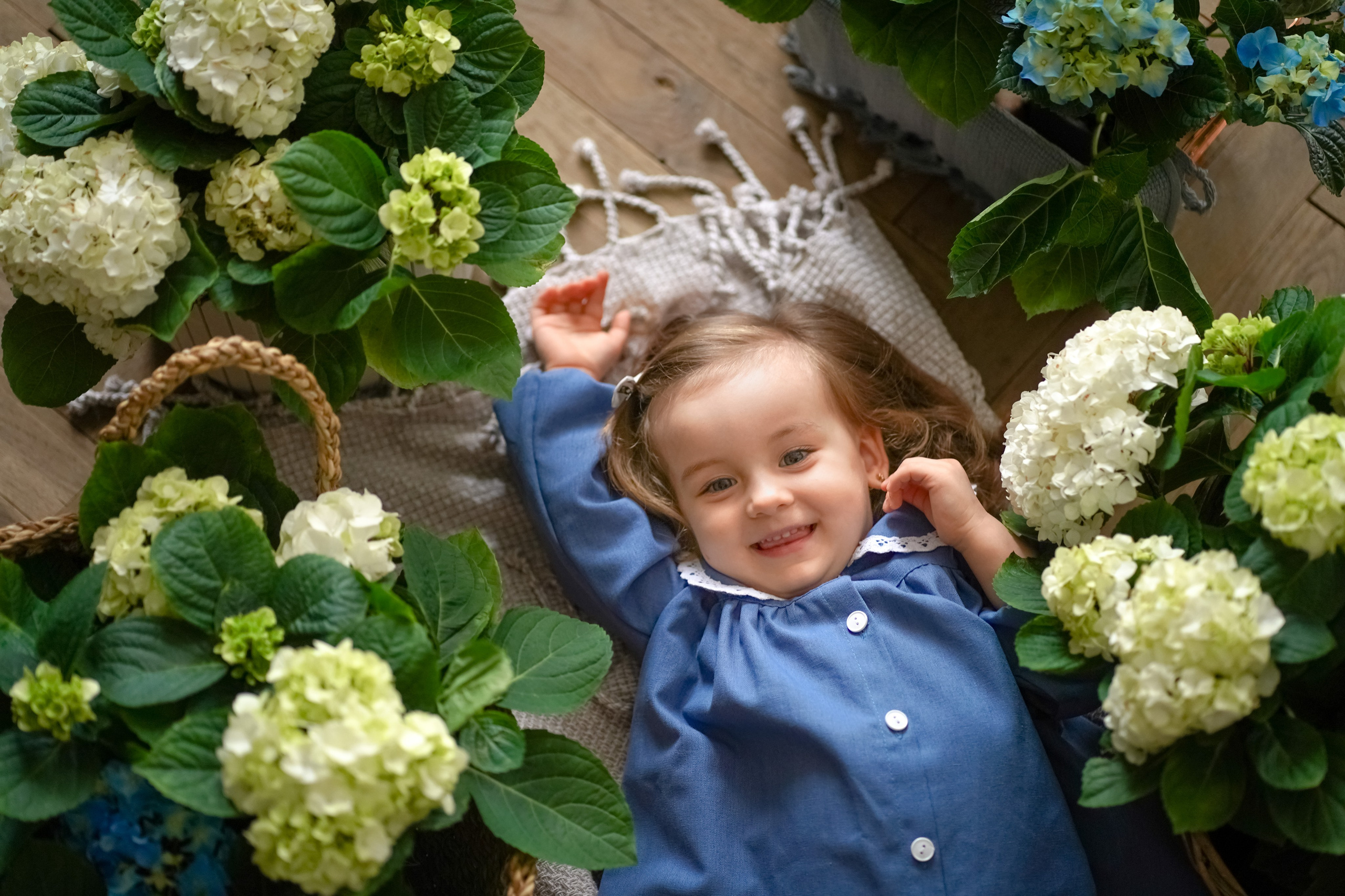 Маленький цветочек. Фотограф Татьяна Митрофанова