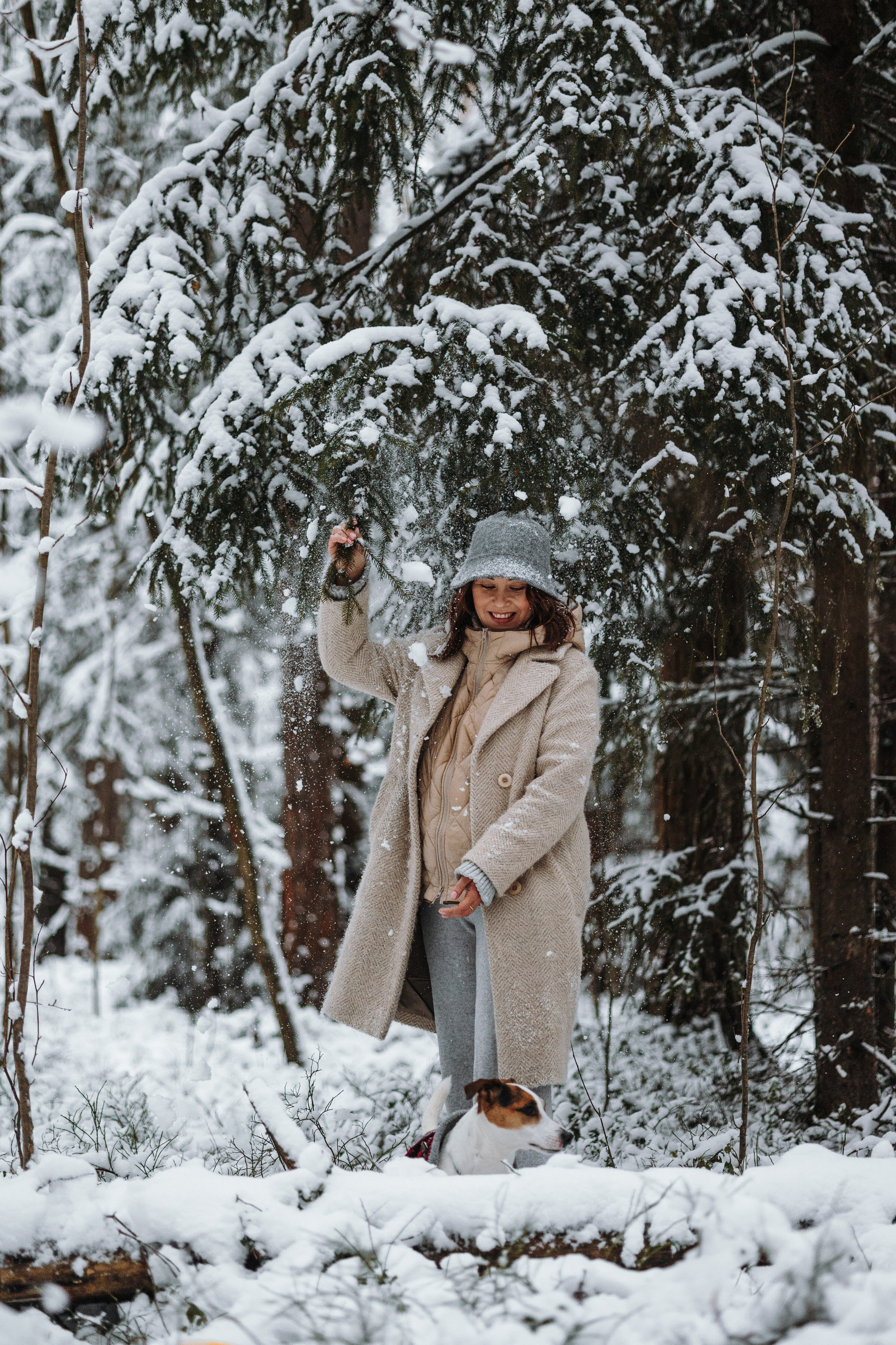 Мики и его семья. Фотограф — Анималист | Санкт-Петербург