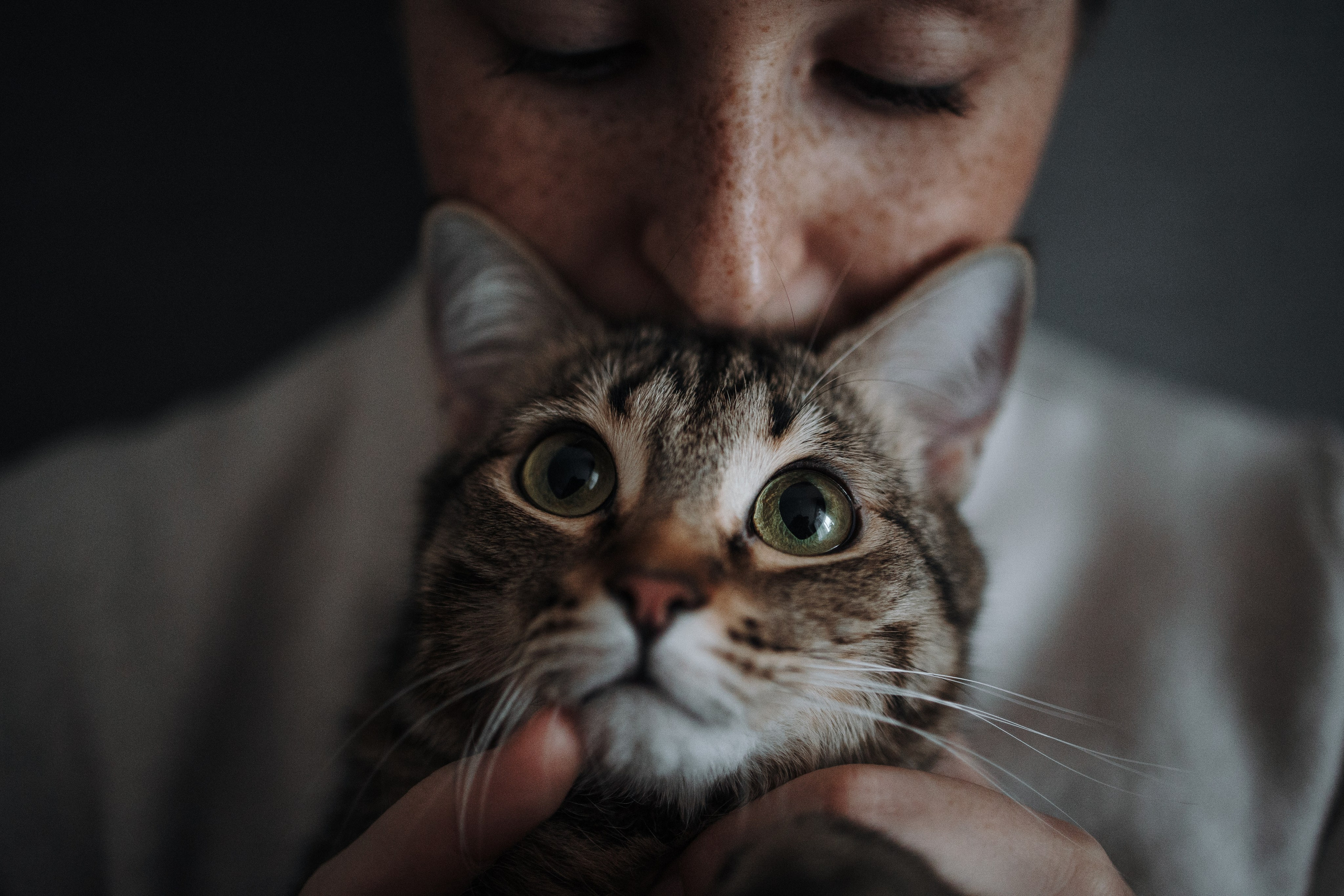 Мася и ее семья. Фотограф — Анималист | Санкт-Петербург