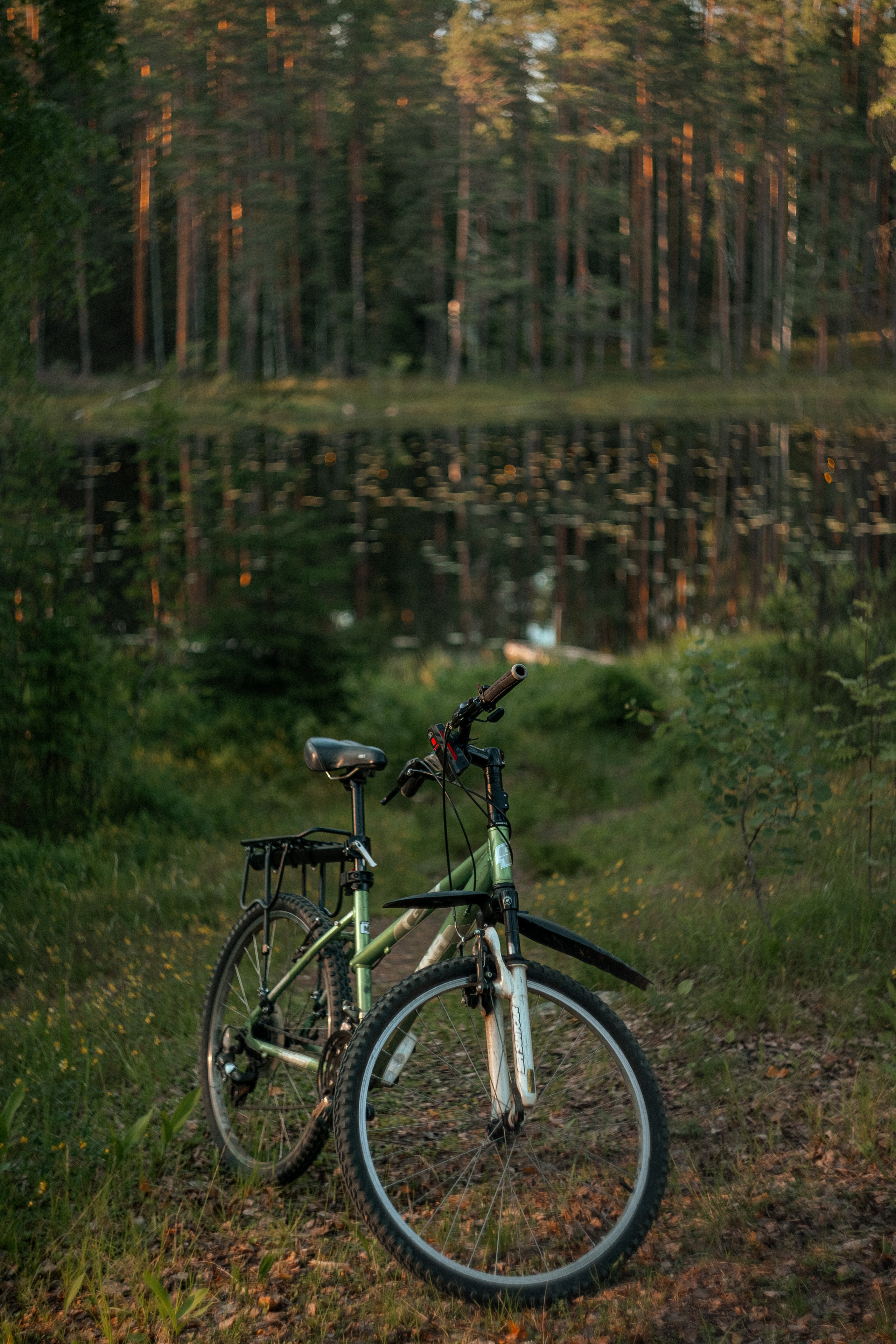 Карелия — место силы. Юля Дэй • Фотограф, Санкт-Петербург