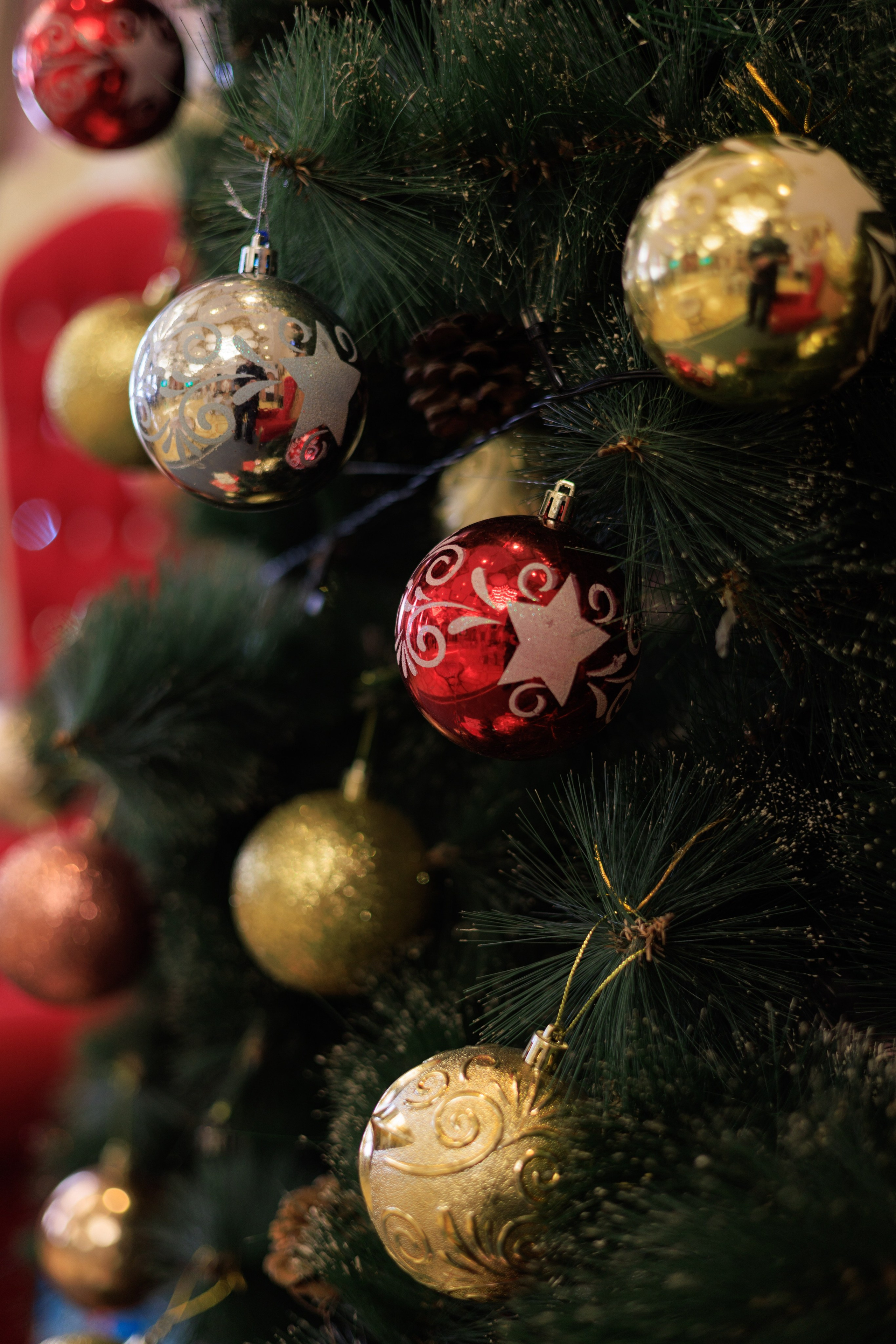 Фотограф Алматы отзывы. Профессиональный фотограф в Алматы