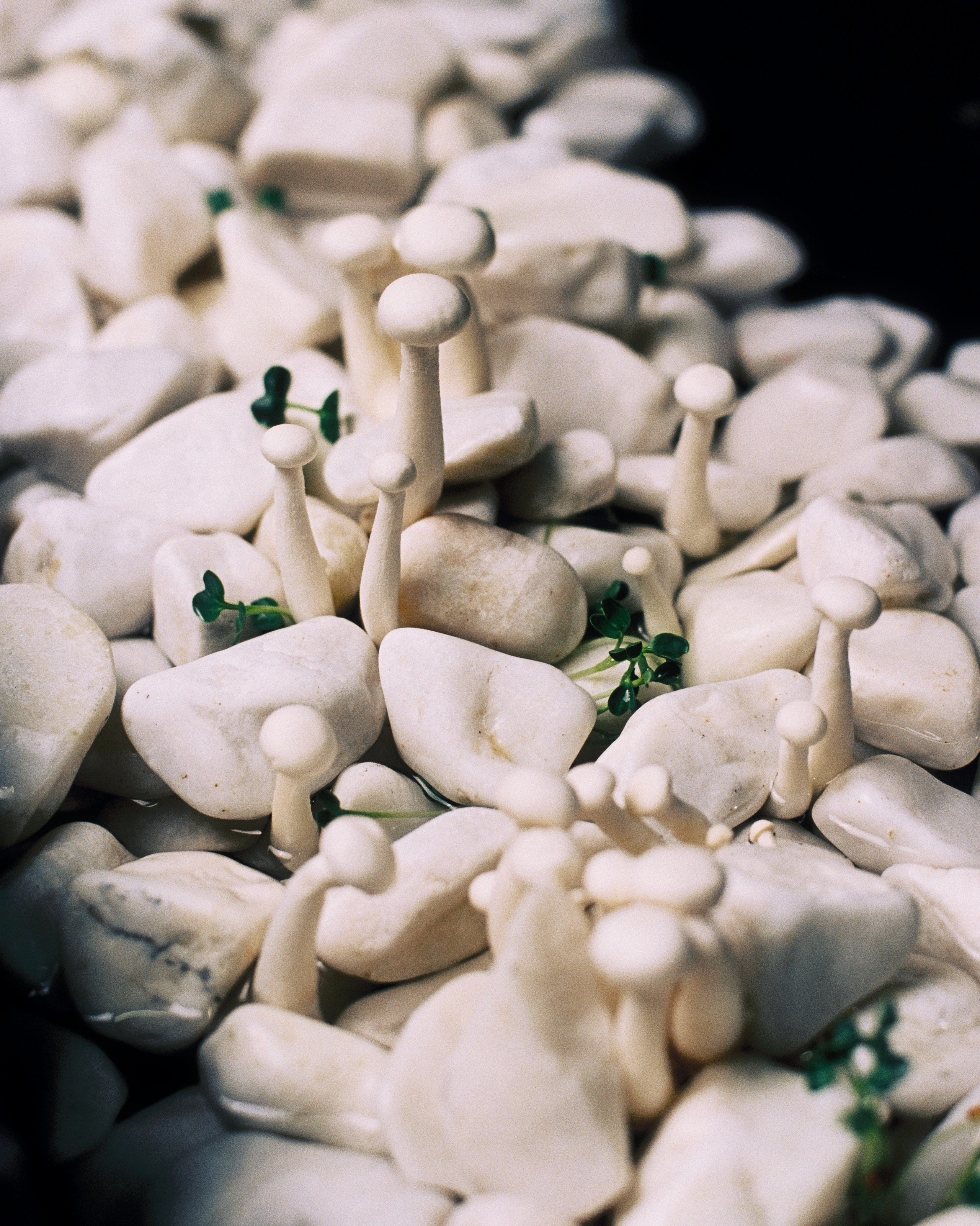 Предметная съемка. Fashion and advertising photographer