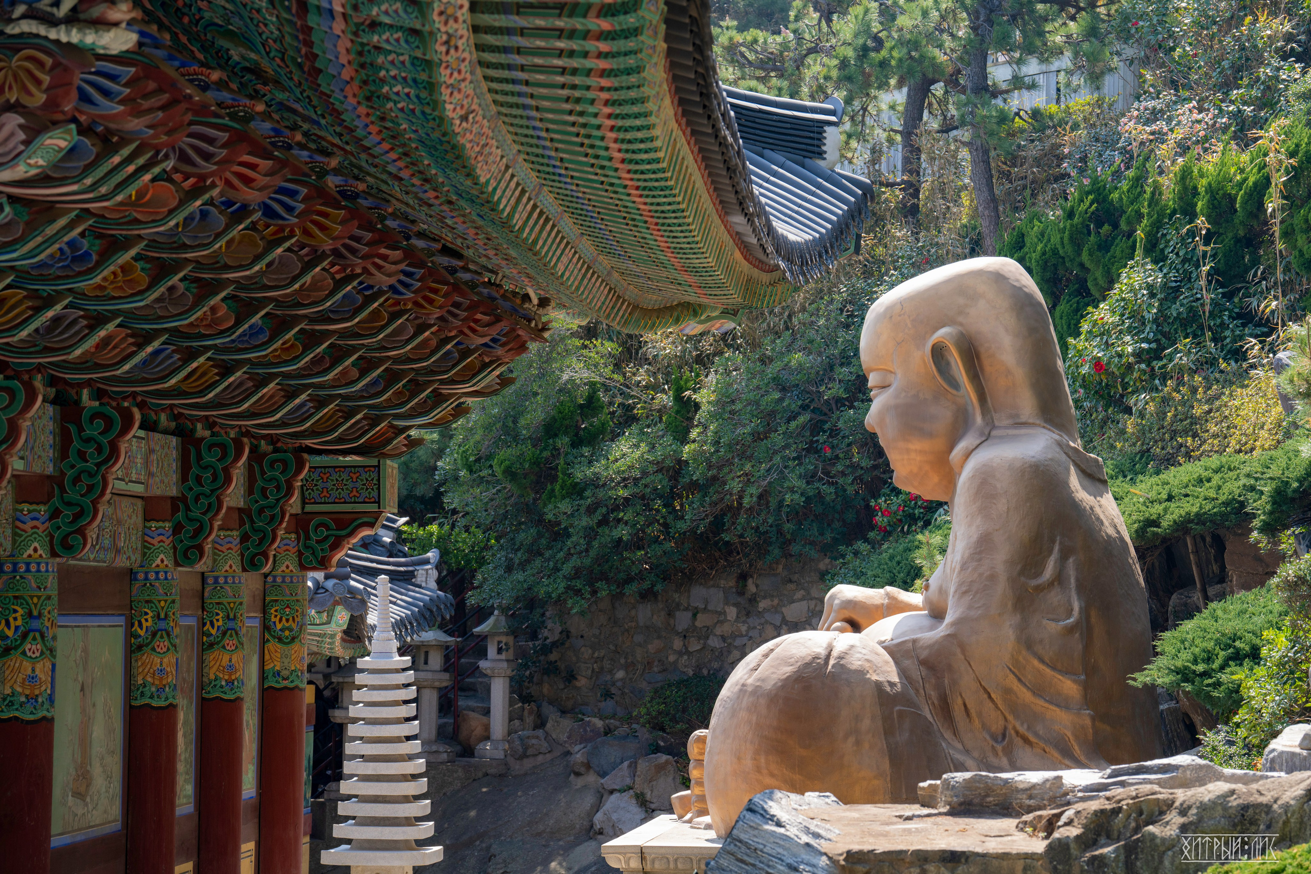 Южная Корея. Фотограф-путешественник Самойлов Максим «Sly Fox»