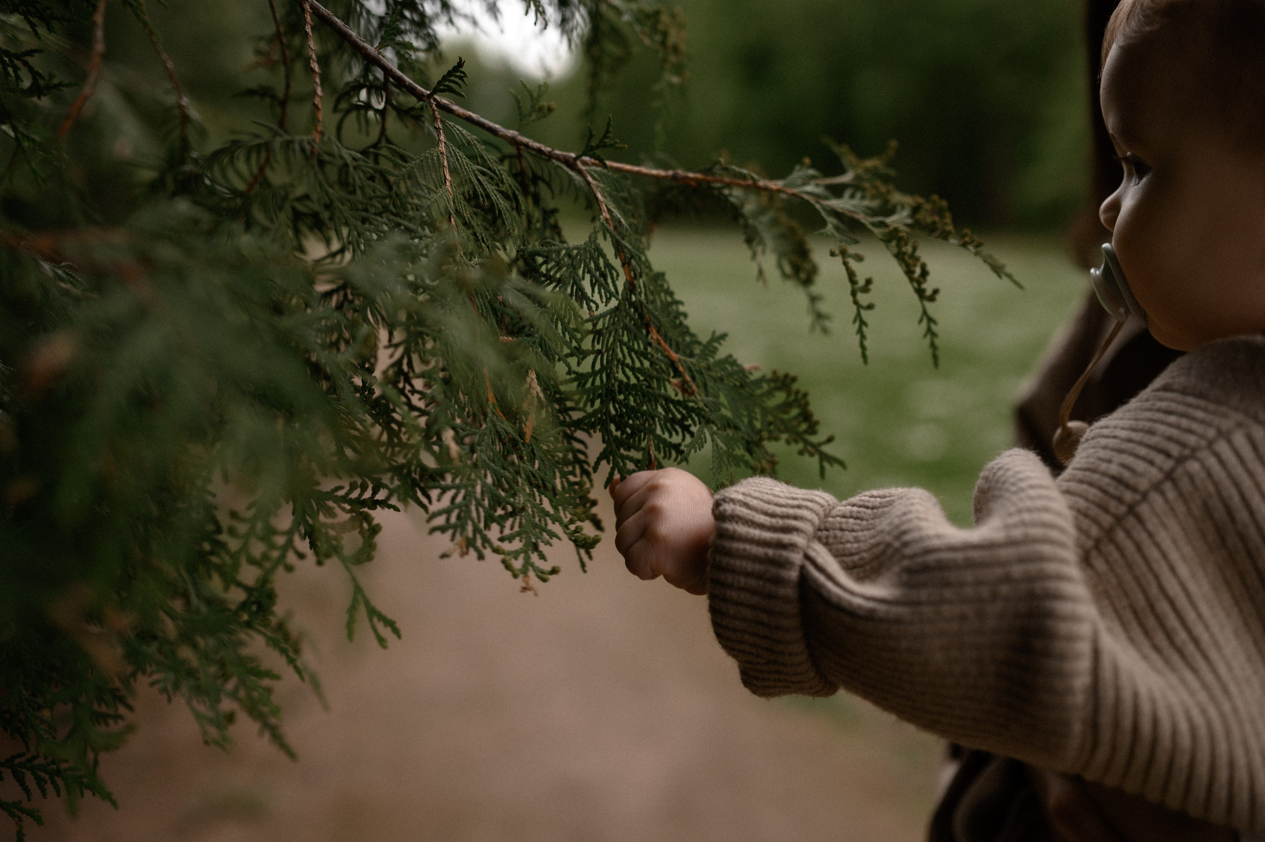 Даня, Лида и Эмма. Прогулка по усадьбе. Семейный и свадебный lifestyle-фотограф в Москве Мария Петрова