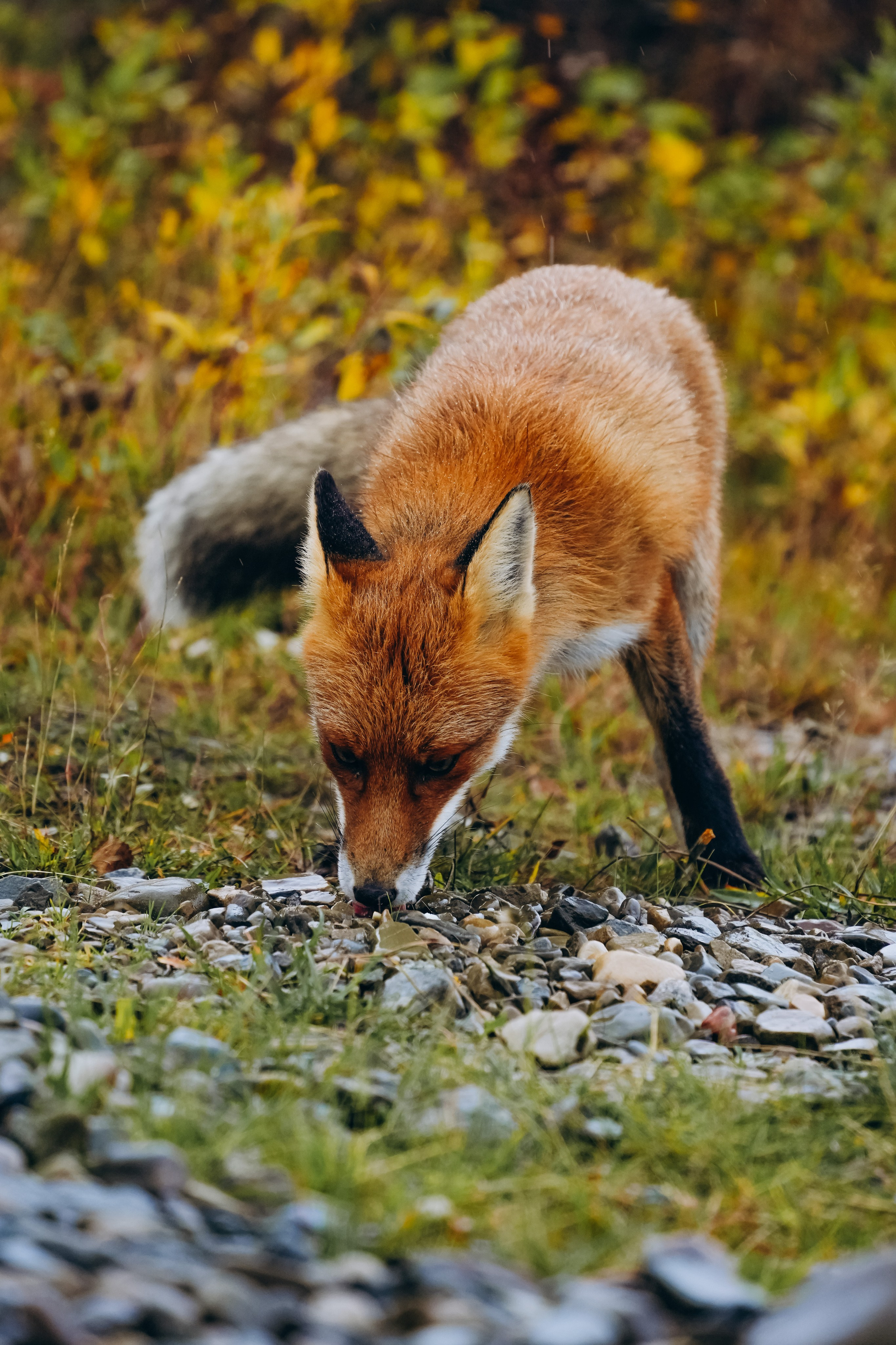 СЕВЕР. Event фотограф Степанова Александра