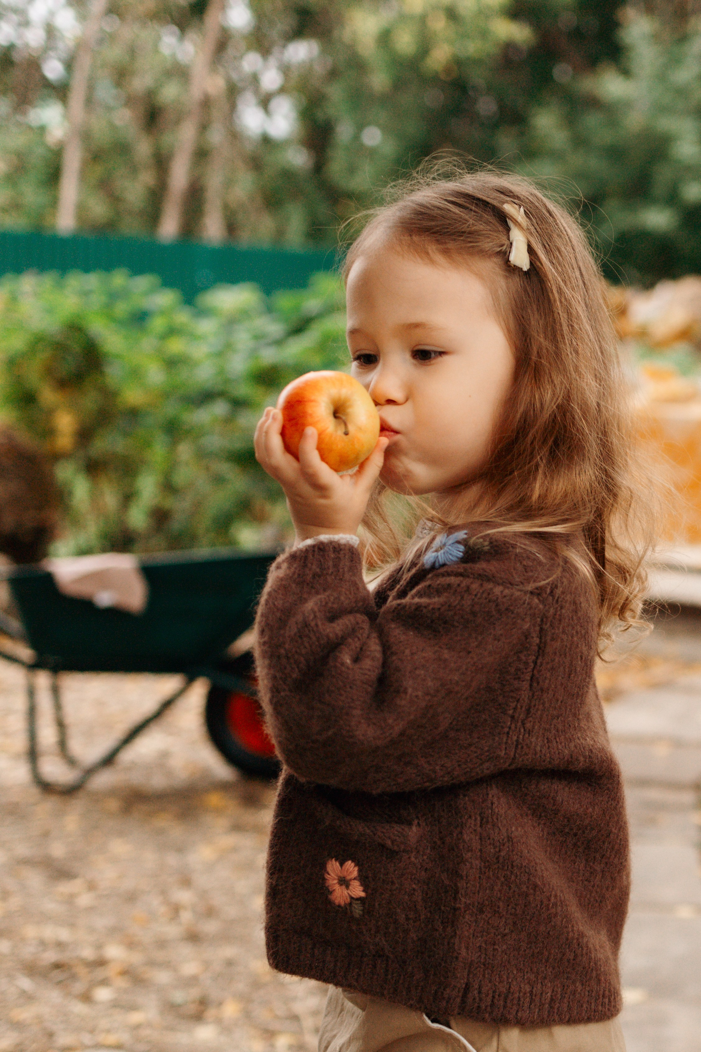 Осень в ладошках мамы. Ваш фотограф