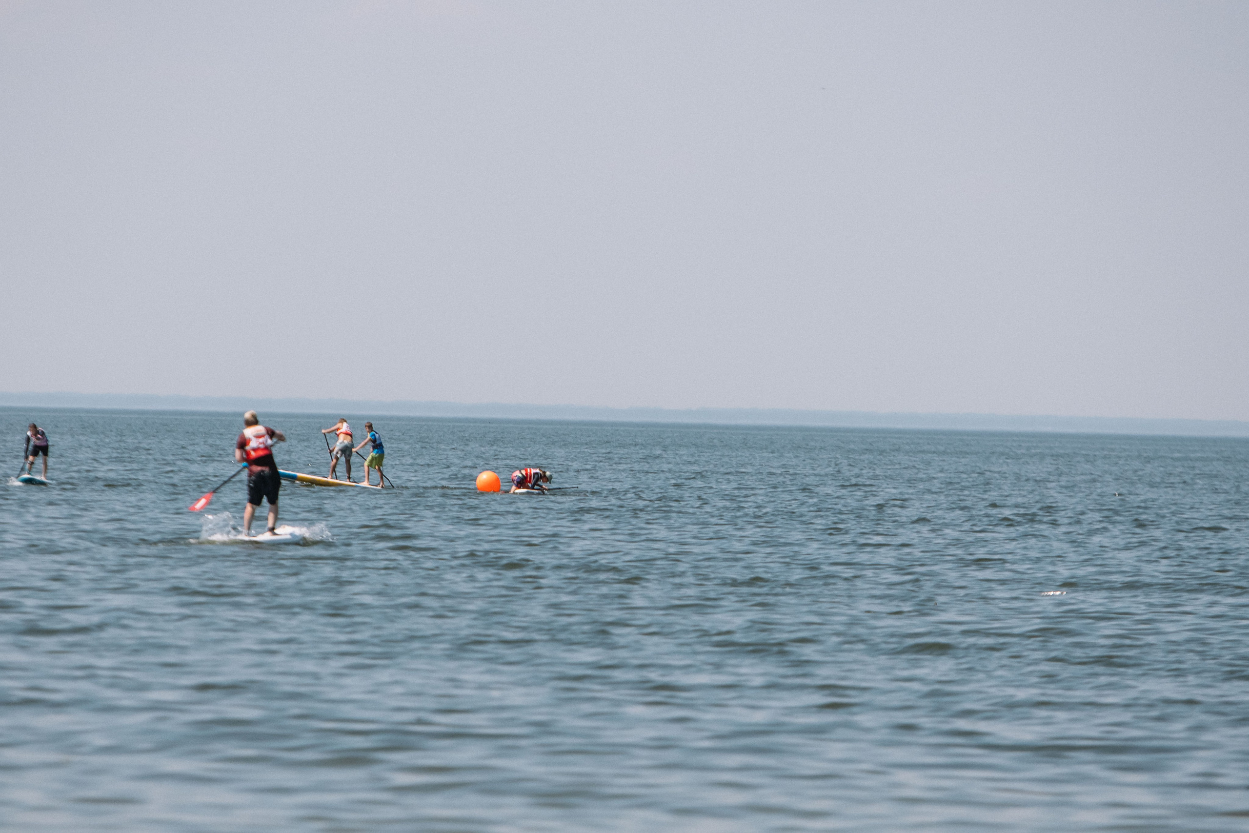 Чемпионат и первенство по НСО по серфингу. Репортажный фотограф в Новосибирске