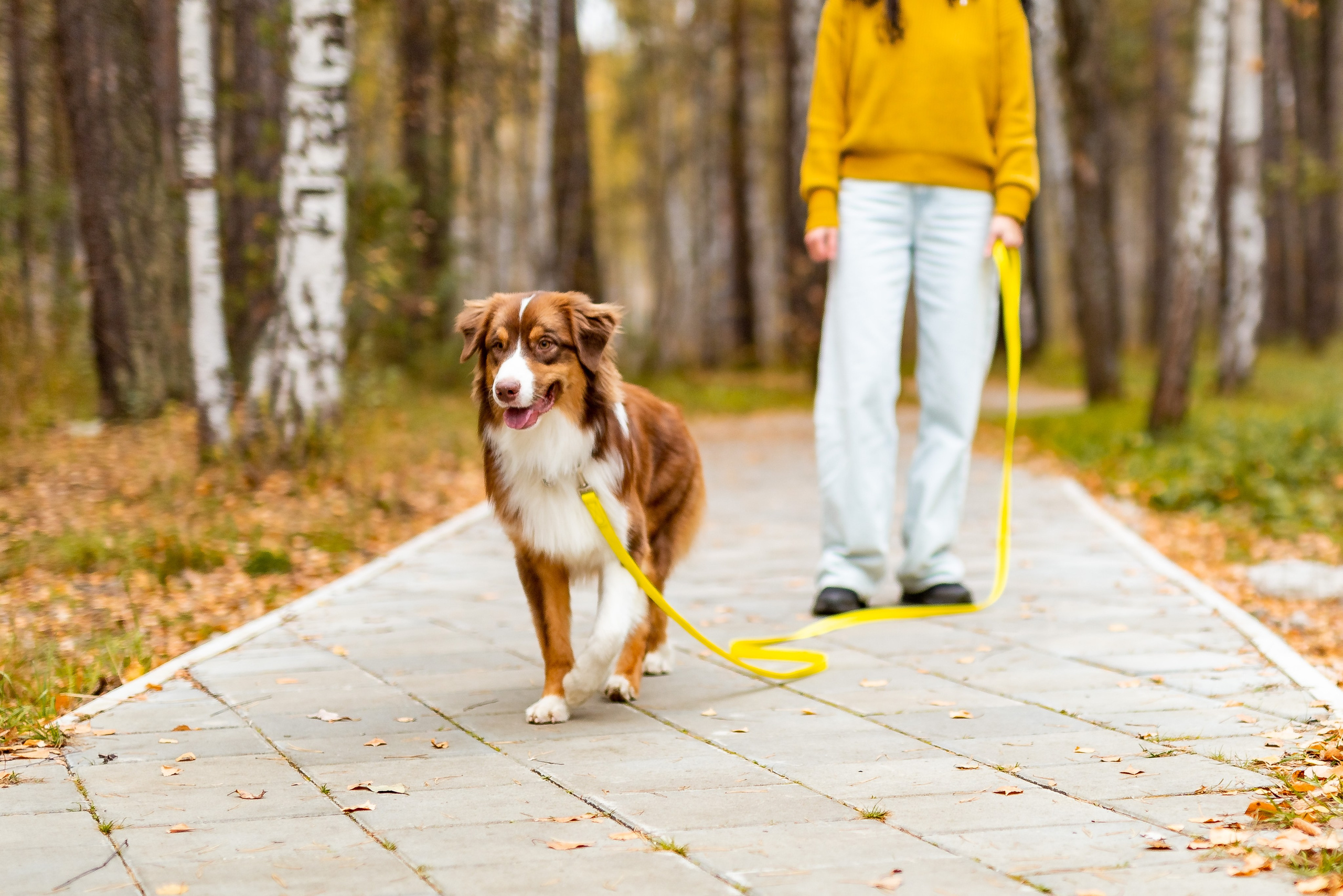 Профессиональный фотограф Верхняя Пышма. Семейный фотограф в Екатеринбурге