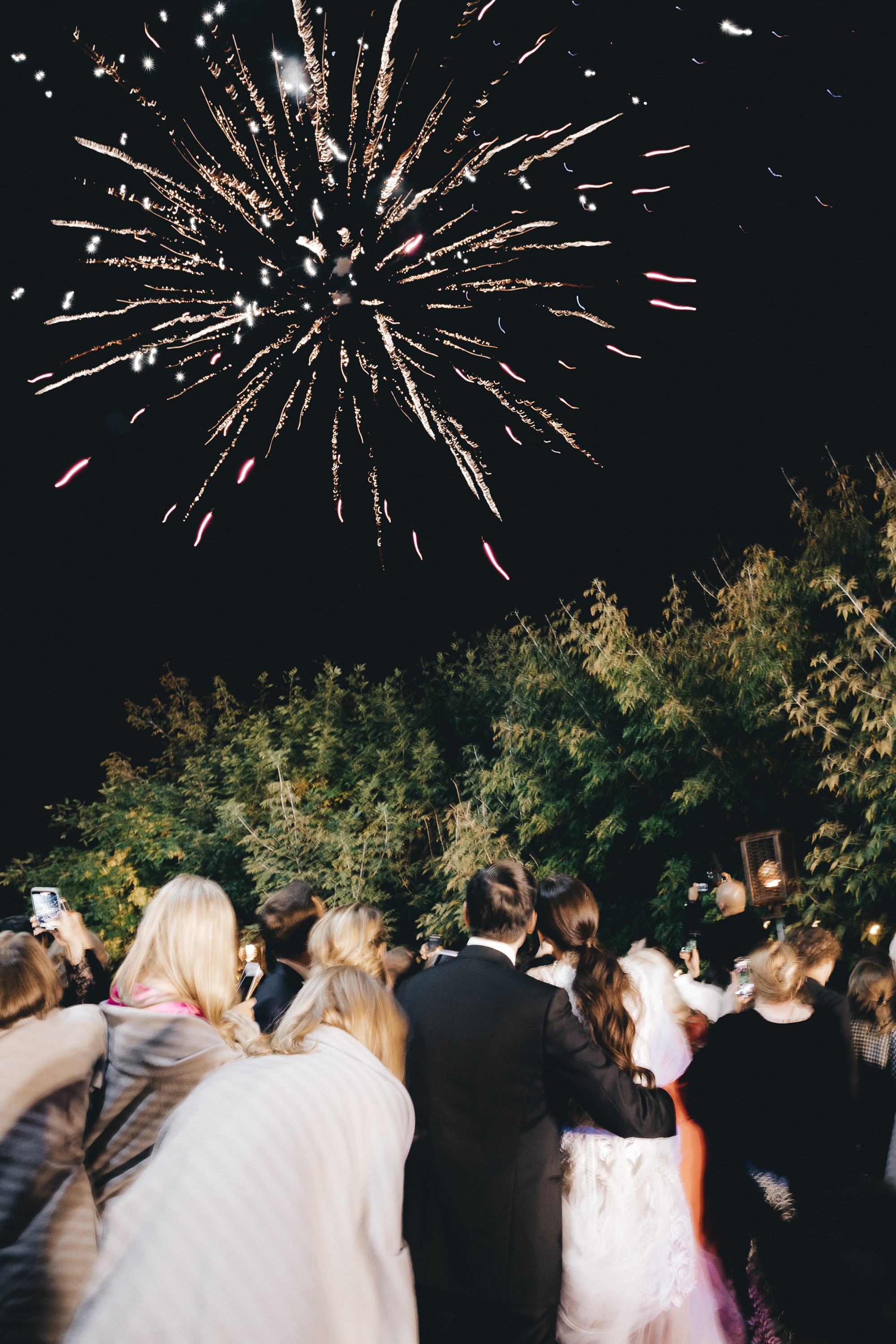 Alexandr & Alina. Фотограф в Москве Максим Василенко
